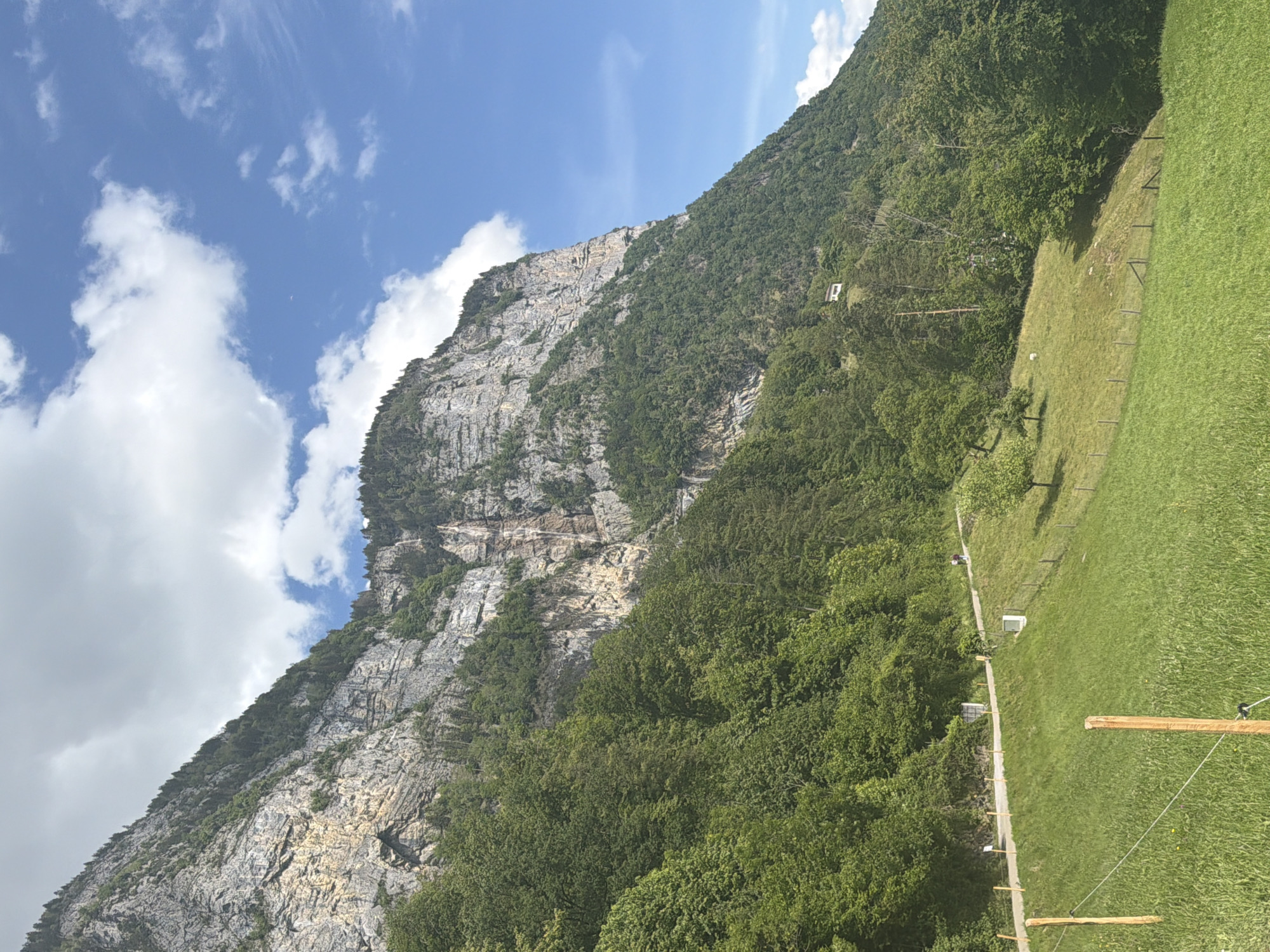 The image shows a view in Betlis, Switzerland, looking up towards a mountain face that is partially covered in trees. The face of the mountain is largely rock, with sections of grey cliff and green vegetation. To the right of the mountain, a green field leads into a thick forest of trees. There's a narrow path next to the field marked by wooden posts and string. The sky is blue with white clouds. A small white structure is visible amidst the trees on the side of the mountain.