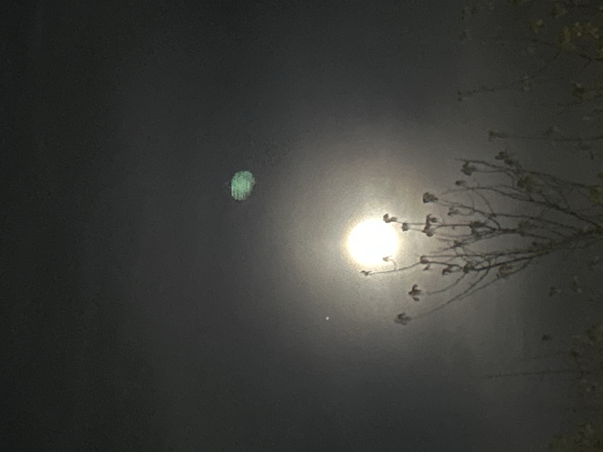 The image shows a night scene, most likely Vila Real, Portugal. A bright full moon dominates the right side of the frame, partially obscured by thin branches and foliage of a tree. To the left of the moon and higher in the sky is an indistinct, possibly out-of-focus, green patch. Below the moon is a smaller point of light, possibly a star or planet. The rest of the sky is a dark, nondescript gray.