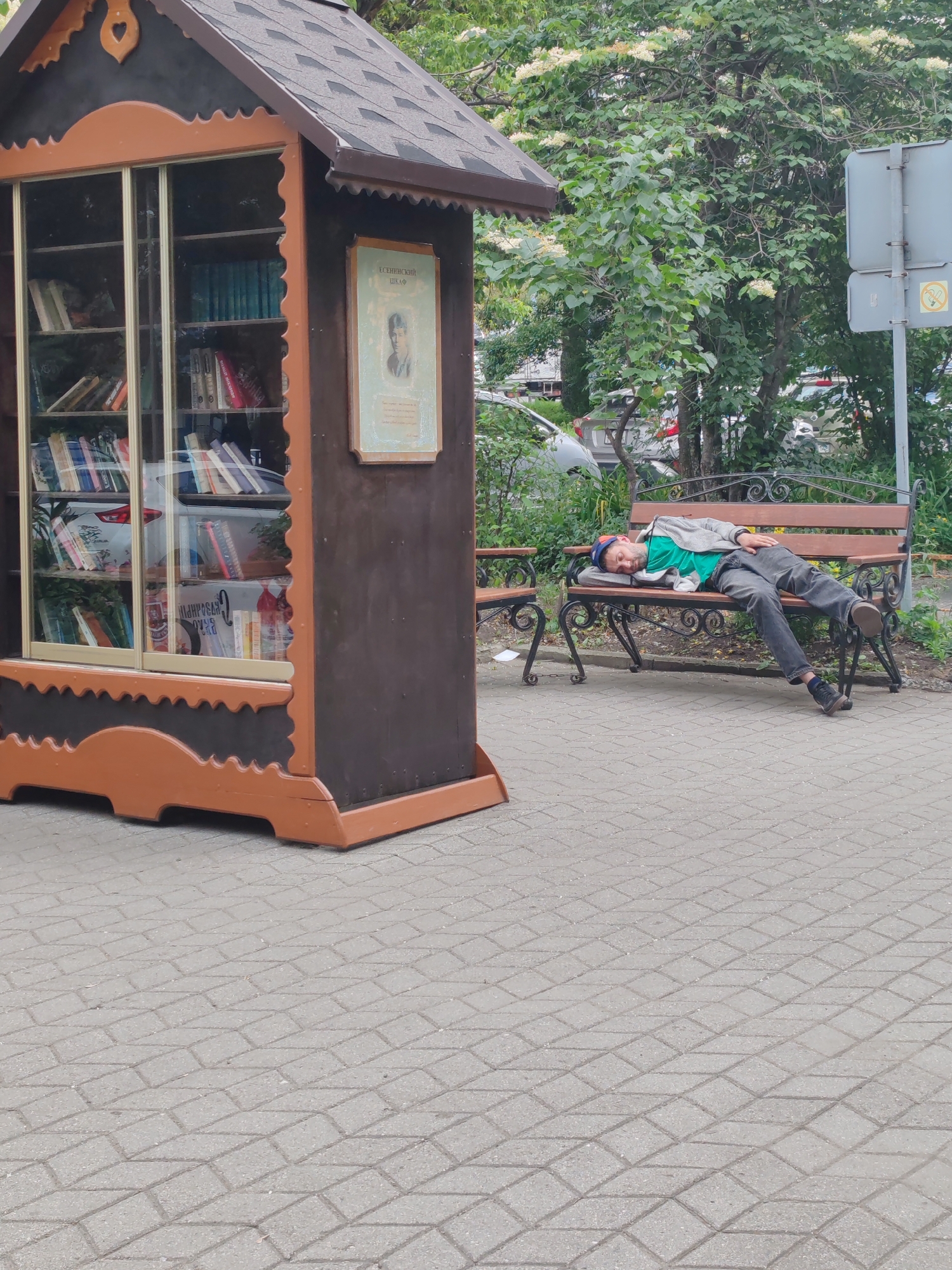 In Vladivostok, Russia, an outdoor scene features a small, dark brown and orange wooden structure resembling a miniature house with a peaked roof, serving as a bookcase with glass doors displaying rows of books. To the right of this structure, a man lies asleep on a park bench. He is wearing a grey hooded jacket, a green t-shirt, and dark pants. His head rests on a pillow or cushion on the bench, and his legs are extended. Behind the bench, a tree with white flowers is visible, along with foliage and parts of parked cars in the background. A traffic sign on a pole stands to the right of the tree. The ground in the foreground is paved with interlocking grey bricks.