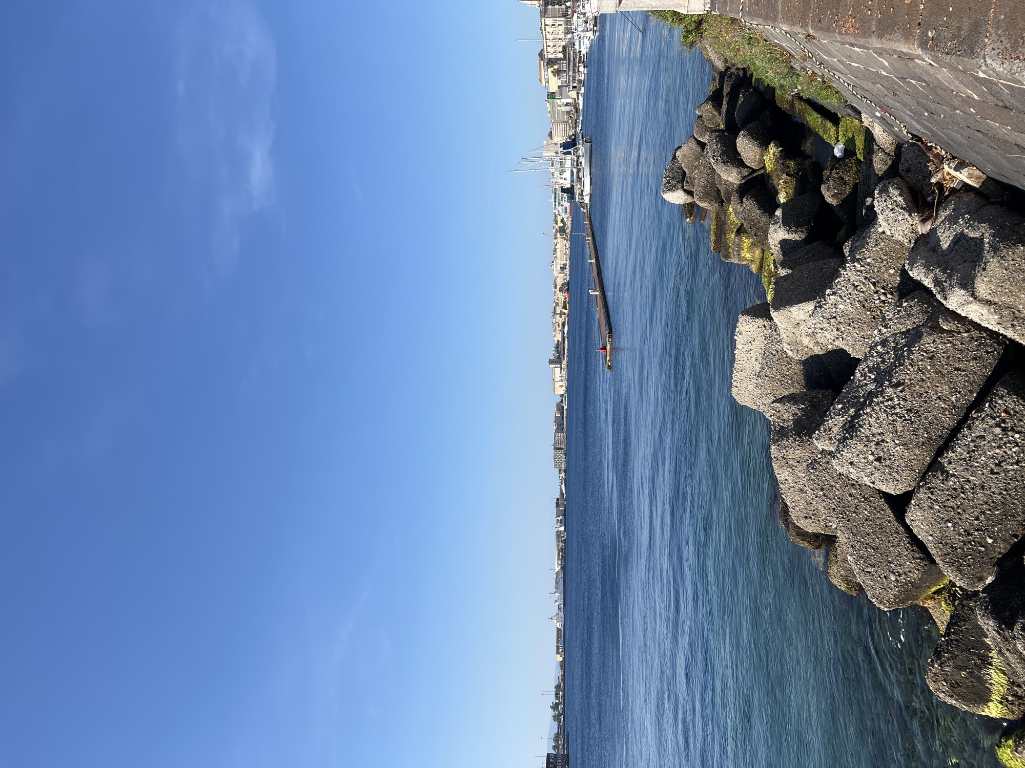 This is a panoramic view of the Port of Messina, Italy, captured on a clear, sunny day. The sky occupies the upper half of the image, presenting a uniform, bright cerulean blue with only a faint wisp of cloud visible in the upper right. The water in the harbor is a deep sapphire blue, transitioning to a clearer aquamarine near the shoreline, with gentle ripples disturbing its surface.
In the immediate foreground, a rough-hewn concrete seawall or promenade runs diagonally from the bottom right corner. Along its base, sparse dry vegetation and a white plastic bag are visible. Adjacent to the seawall, a substantial breakwater is formed by numerous gray, coarse-textured concrete blocks, similar to tetrapods, stacked irregularly along the water's edge. These blocks are heavily adorned with vibrant green algae and moss where they meet the water.
In the midground, a narrow, light-colored pier, likely wooden, extends horizontally into the harbor from the right, with a red cylindrical marker at its visible end. Several white-hulled recreational vessels, predominantly sailboats with their masts erect, are moored to the left of this pier and elsewhere in the harbor.
The background reveals the sprawling urban landscape of Messina. A continuous line of multi-story buildings, featuring various architectural styles, colors (beige, white, ochre), and red-tiled roofs, stretches along the waterfront. A distinct white bell tower or spire rises prominently above the buildings on the right side of the cityscape. To the far left, beyond the recreational marina, an active commercial port is visible, characterized by large white and gray ships (likely ferries or cargo vessels) docked at industrial quays, accompanied by visible cranes and other port infrastructure. Distant mountains are faintly discernible on the far left horizon. No people are present in the scene. The lighting suggests midday to early afternoon, with strong, direct sunlight creating clear illumination across the landscape.