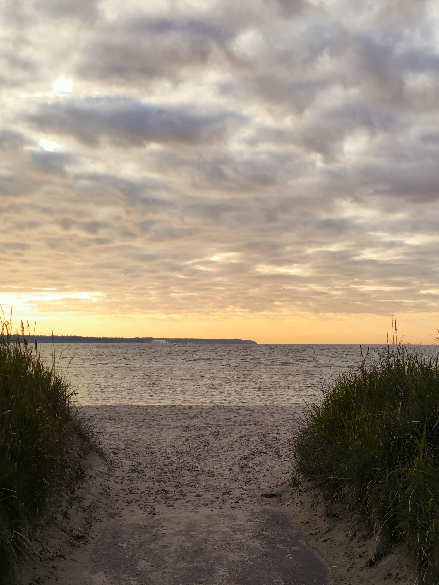 The image depicts a beach path leading to the sea during what appears to be sunset or sunrise. Tall grasses line both sides of the sandy path. The sea is calm with gentle waves. The sky is filled with clouds, some of which are illuminated by soft, warm light, suggesting either dawn or dusk. In the distance, a faint line of land can be seen, possibly a coastline or an island. There are no visible people or specific landmarks that would identify this location as Tallinn, Estonia.