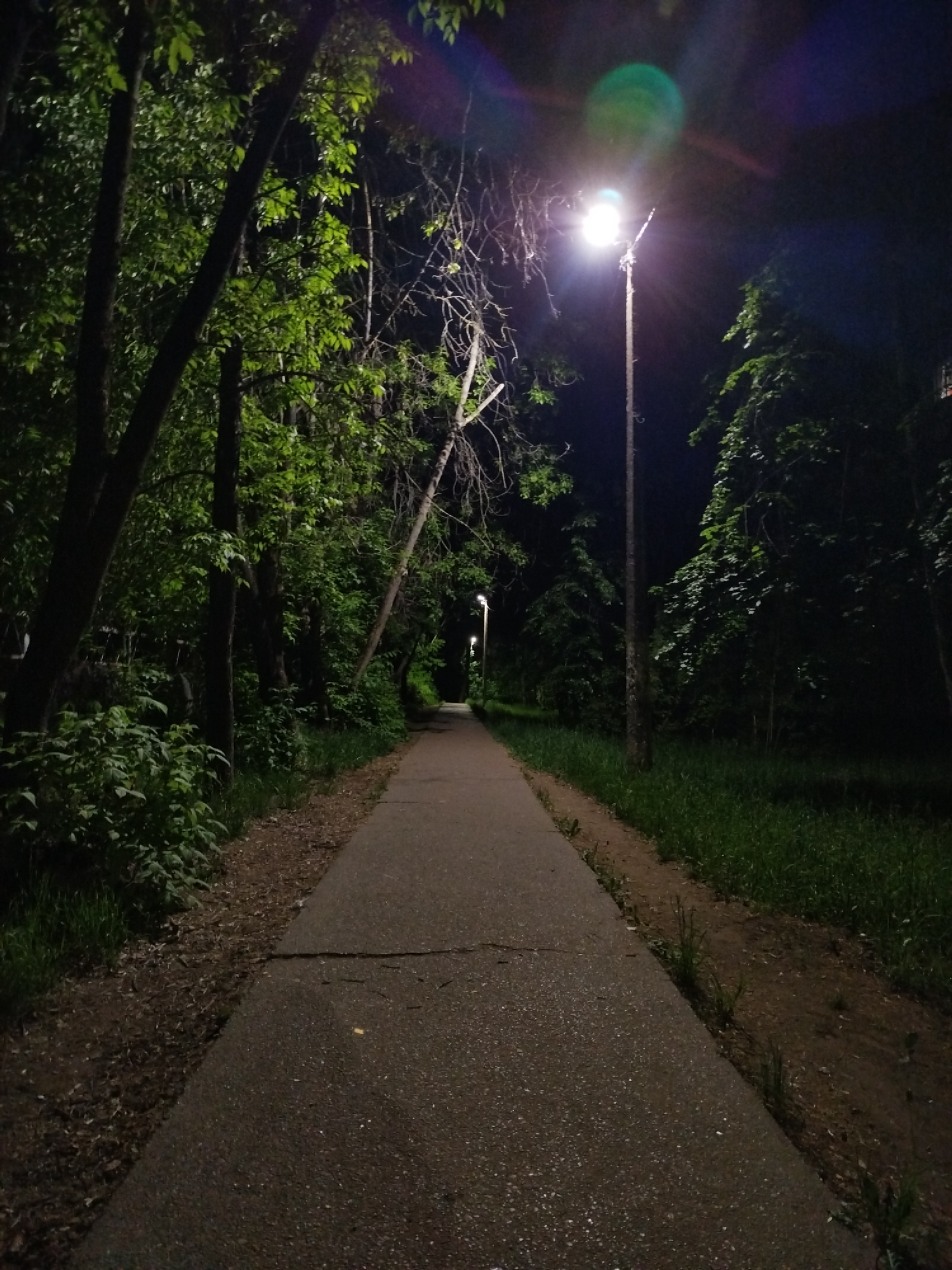 A ground-level, full shot shows a paved path running through a dark park at night. A single street light illuminates the path and casts light on the foliage on either side. The trees are dense with green leaves. The path extends into the distance, where a second street light is visible. The path is slightly cracked in places. The edges of the path are lined with grass and dirt.