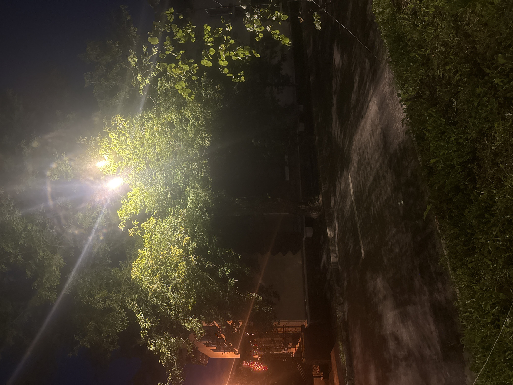 A nighttime outdoor scene features a large tree with dense foliage illuminated by a bright street light above. The light casts long shadows across a paved area below, creating a textured pattern. To the left, a building with a warm orange glow from windows is visible. The ground is mostly dark, with some areas appearing wet or reflective, possibly from recent rain. Green grass borders the bottom of the image. The image is not specific to Magnitogorsk, Russia.