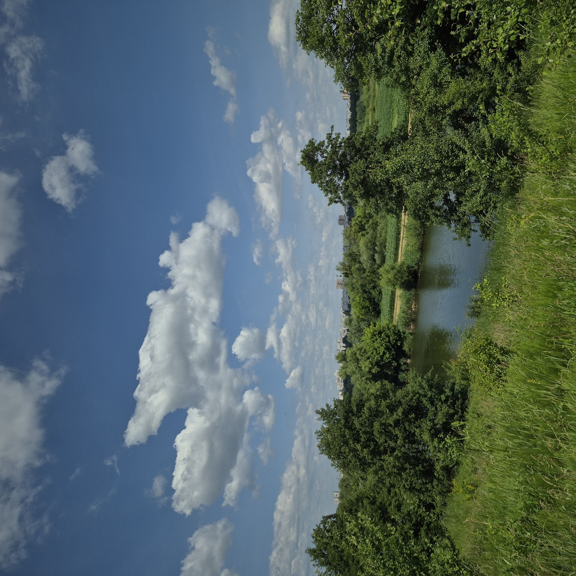 This is a landscape photograph taken on a bright, sunny day with a blue sky and scattered white clouds. The foreground features tall green grass. In the middle ground, a calm body of water, likely a river or lake, reflects the sky. Lush green trees line the banks of the water and extend further into the background. Beyond the trees, a strip of cultivated land or fields can be seen, and in the distance, a low-rise urban skyline with buildings is visible. The scene appears to be located in a natural or semi-natural area on the outskirts of Bila Tserkva, Ukraine.