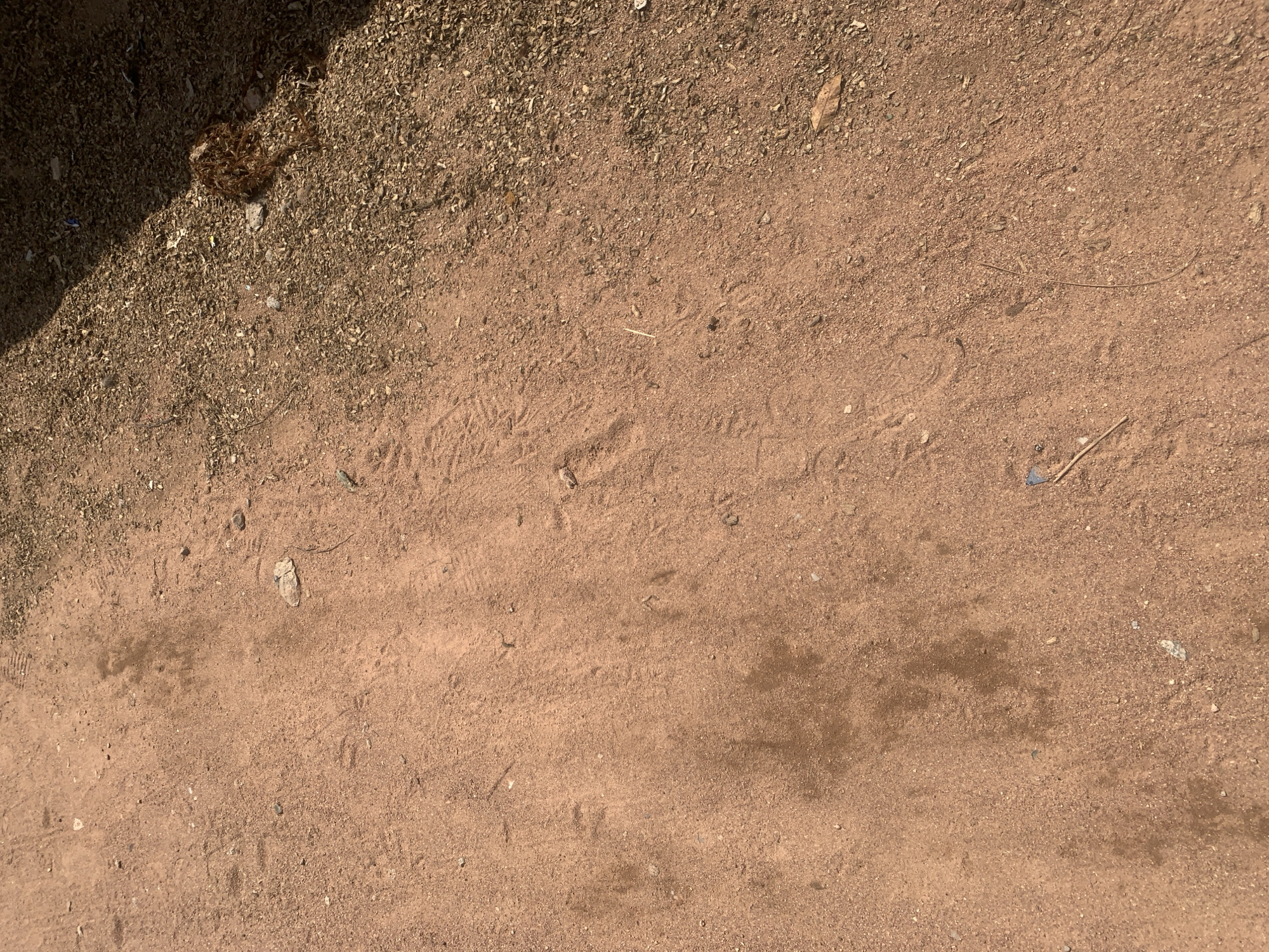 The image depicts a close-up, top-down view of dry, reddish-brown soil. The ground is textured with small pebbles and granular material, interspersed with scattered dried leaves and plant debris. A distinct shadow falls across the upper left portion of the frame, suggesting the presence of an overhead object or structure, and indicating the time of day is likely morning or late afternoon, with the sun casting long shadows.
The soil itself shows a pattern of faint tracks, most noticeably a series of small, three-toed prints, indicative of birds or small animals that have recently traversed the area. The clarity of these tracks suggests the ground is somewhat soft and has retained their impression. There are also areas of slightly darker, damp-looking soil, perhaps from recent moisture or a change in soil composition, creating subtle variations in color and tone.
The overall scene is natural and somewhat desolate, with no human presence or significant man-made objects visible beyond the implied shadow. The environment appears to be an outdoor setting, likely in a dry or arid region, given the appearance of the soil and the sparse vegetation. The lack of vibrant colors and the muted tones of the soil and debris contribute to a sense of natural, earthy simplicity. The location context of Jalingo, Nigeria, suggests a tropical or subtropical climate, which would be consistent with dry soil and scattered plant matter.