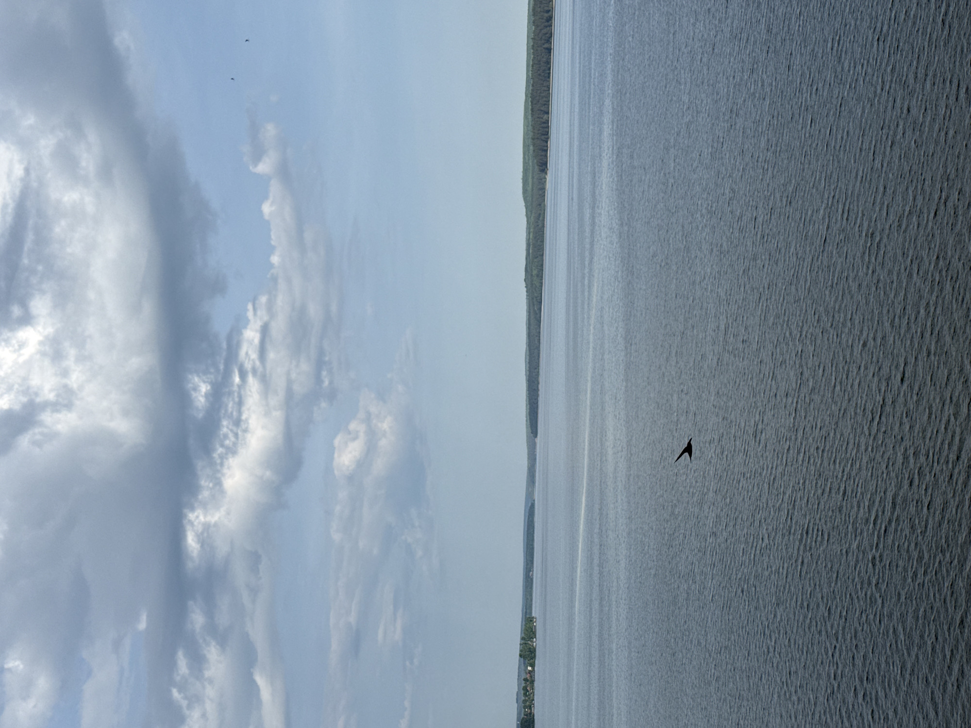 The image shows a body of water, likely the Votkinsk Reservoir, as the photograph was possibly taken in Votkinsk, Russia. On the left side of the image, there is a cloudy sky. The water surface is rippled, indicating wind activity. A single bird is silhouetted against the water's surface. In the distance, a treeline and some buildings are visible on the opposite shore.