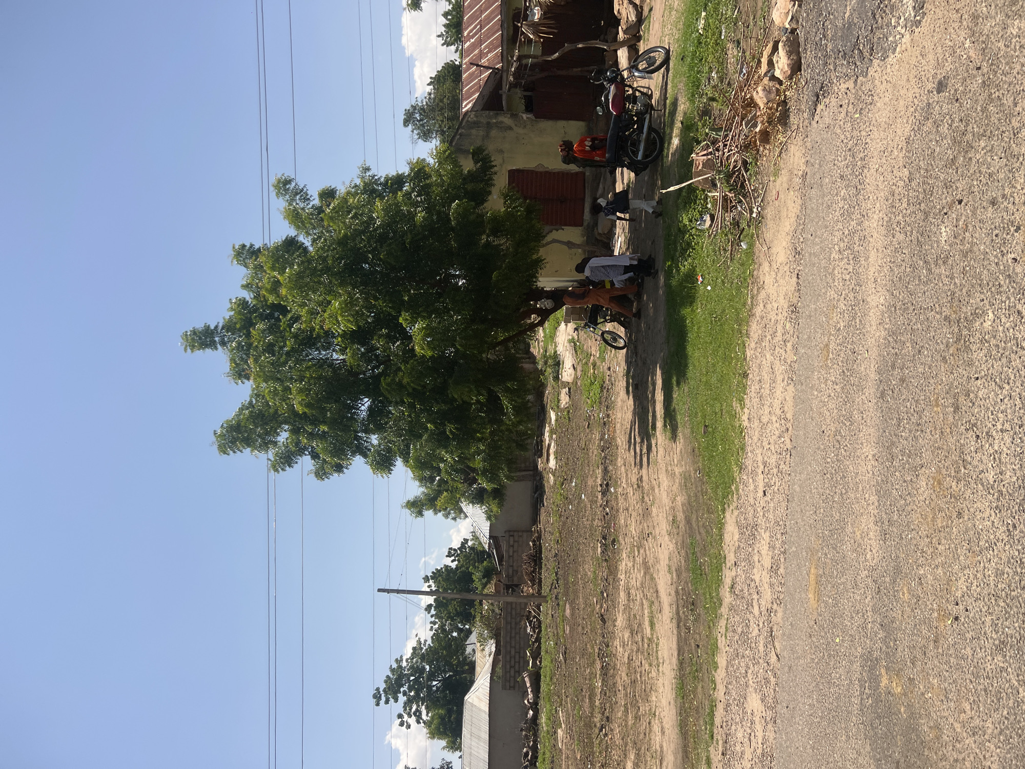 This image captures a bright, sunny outdoor scene in Balanga, Nigeria, under a clear blue sky with minimal scattered clouds. The foreground features a dark, granular paved surface giving way to a dirt path and patches of dry grass. A large, leafy green tree is prominently situated in the mid-right, casting a significant shadow. Beneath this tree, a group of approximately five to seven individuals, including adults and at least one child, are gathered, standing in the shade. Two motorcycles are present: one light-colored motorcycle is parked directly under the tree near the group, and a dark red motorcycle is parked further right, closer to a building.
In the mid-ground and background, several single-story structures are visible. These buildings have light-colored, possibly painted, walls and corrugated metal roofs, some exhibiting reddish-brown discoloration indicating rust. One building on the far right features a reddish-brown louvered shutter or door. Multiple wooden utility poles with overhead power lines span across the mid-distance. The ground around the buildings and paths consists of dry earth, sparse vegetation, and various accumulations of debris including piles of cut branches, rocks, and what appears to be stacked cinder blocks in the mid-left background. No explicit actions beyond standing and resting in the shade are discernible among the people.