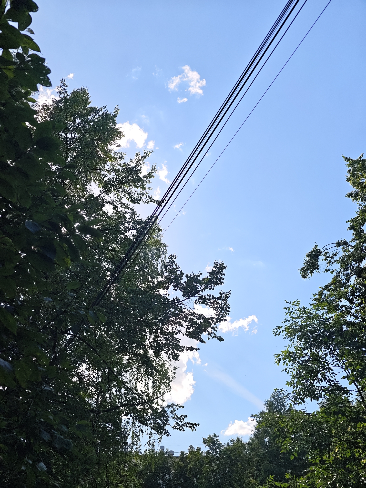 The image shows a clear blue sky with scattered white clouds. Several dark power lines stretch diagonally across the frame from the upper left to the lower right. Lush green trees frame the sky from the left and right edges of the image, with some branches and leaves obscuring parts of the sky and power lines. In the background, at the bottom center of the image, a low-rise building with a light-colored facade and several ventilation pipes is visible amongst more trees. The scene is likely an outdoor urban environment in Chaikovsky, Russia, given the presence of trees and power lines, suggesting a residential or park-like area. The lighting indicates it is daytime, likely with the sun behind the trees in some areas, creating some dappled light effects.