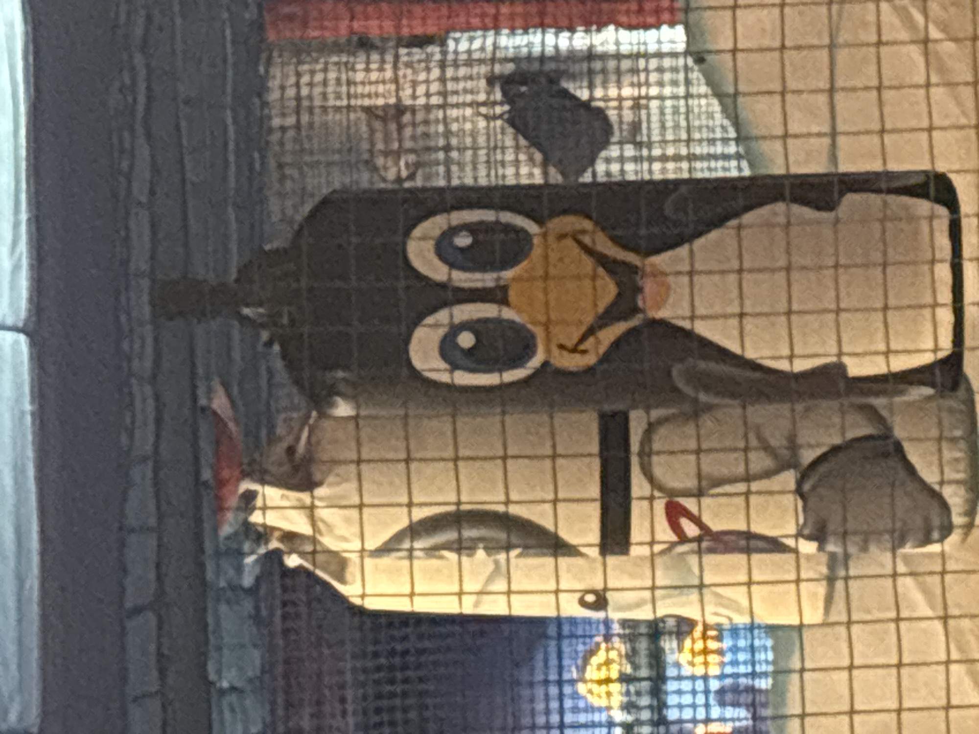 The image shows two cartoon characters, possibly inflatables or props, hanging within a netted enclosure. On the right is a black and white penguin character with large blue eyes and an orange beak and mouth. To its left is a white character dressed in what appears to be a space suit, with a dark circular emblem on its chest and a red curved element near its head. Both characters are oriented towards the viewer. The background is a blurred scene with what looks like a cityscape or exhibit, featuring lights and structures visible through the netting. The setting appears to be an indoor entertainment or play area. The image was taken in Dubai, United Arab Emirates.