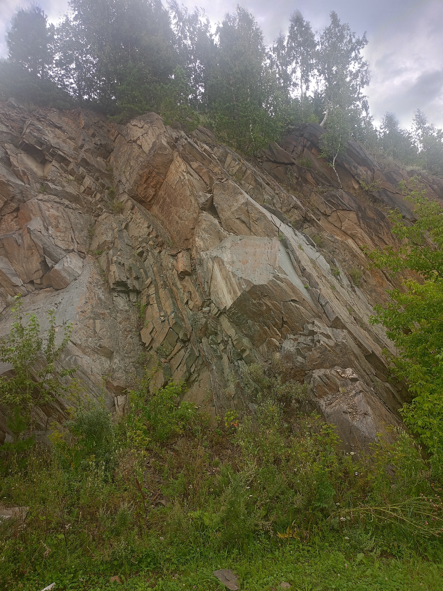 The image shows a rocky cliff face with trees growing along the top. The cliff is composed of layered rock formations in shades of brown, gray, and tan. There is a dense growth of green vegetation at the base of the cliff, including grass, bushes, and small trees. The sky is overcast with clouds. The scene appears to be a natural landscape. This cliff face is located in the city of Zlatoust, Russia, near the Izhbulda village. Specifically, it is a section of the Tayganish mountain range, known for its mineral deposits and scenic beauty, often referred to as the "Zlatoust Alps."