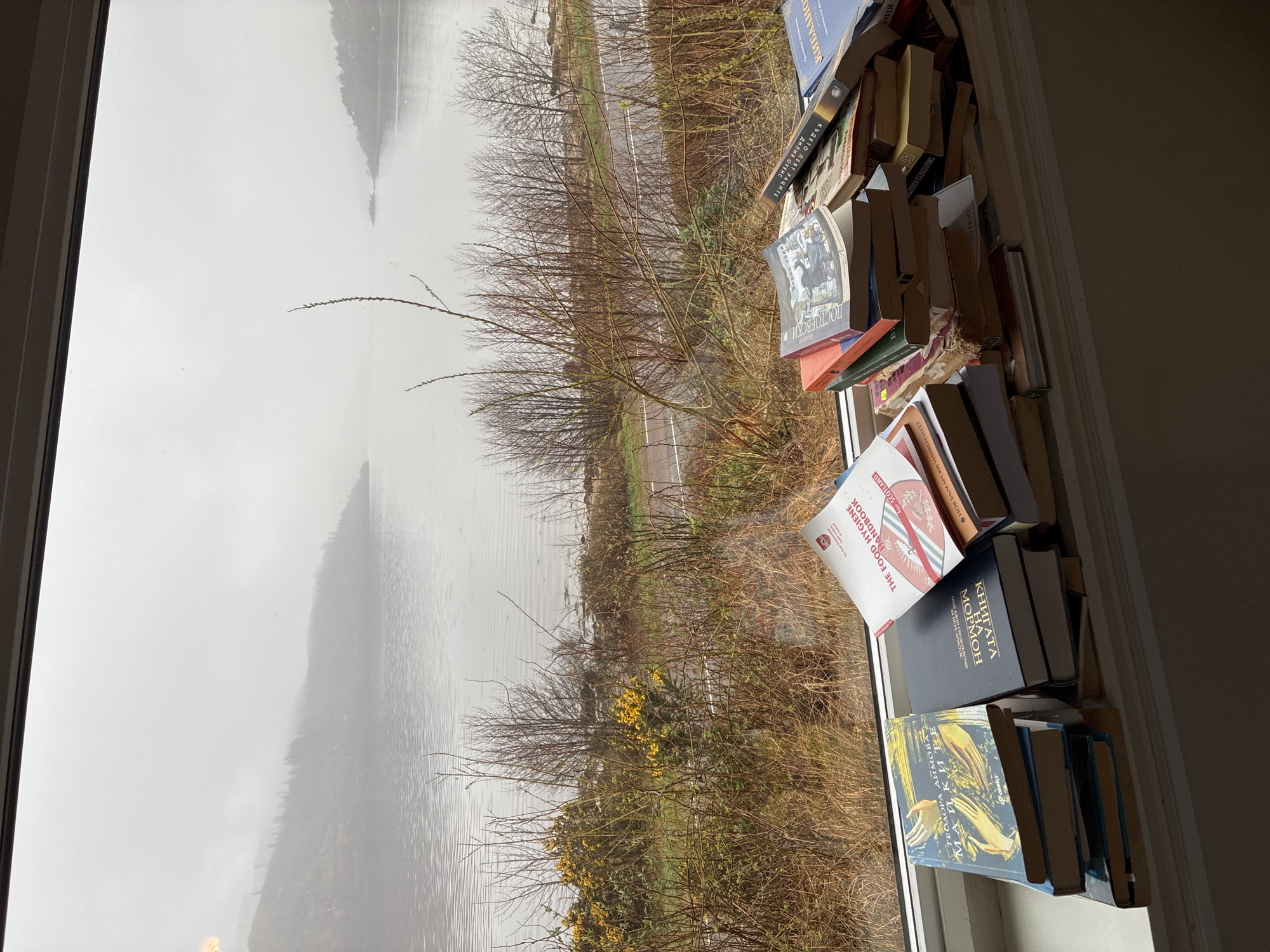 The scene depicts a window sill cluttered with a disorganized stack of books, positioned in front of a scenic view of a loch in Strontian, United Kingdom.
The loch is shrouded in mist, partially obscuring the far shore. The landscape visible through the window includes vegetation such as bushes and bare branches. A road runs along the edge of the water.
The books are stacked haphazardly. Some of the titles visible include "THE FOOD HYGIENE HANDBOOK for SCOTLAND," "КНИГАТА МОРМОН" (Book of Mormon), and "КЪДЕТО ПЕЯТ РАЦИТЕ" (Where the Crawdads Sing).
