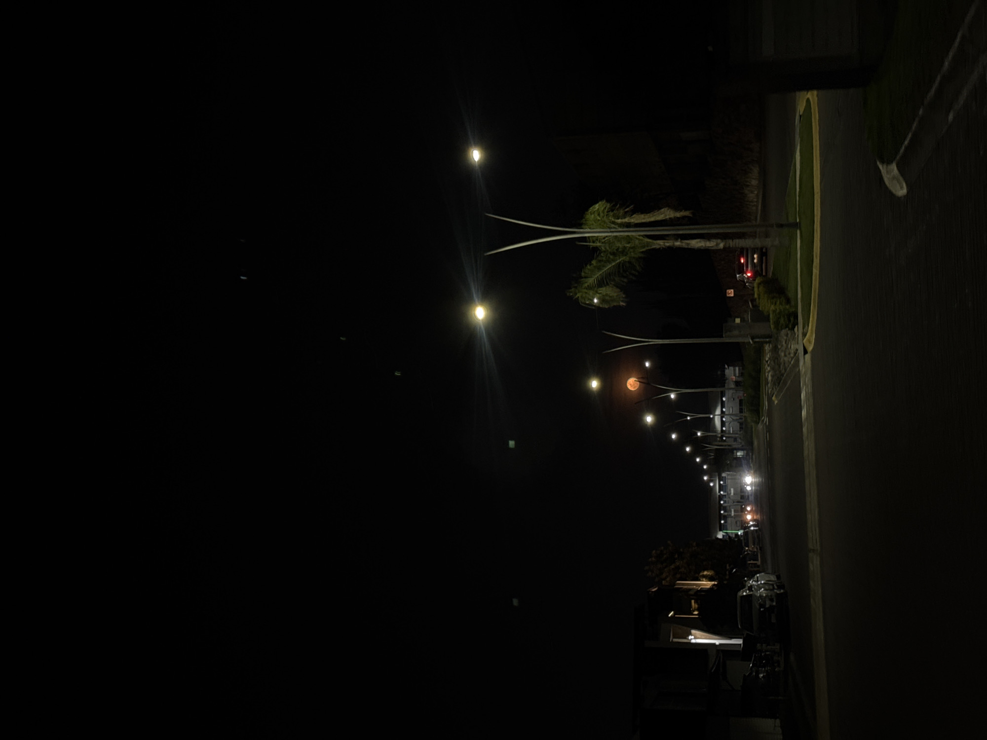The image depicts a street scene at night in what appears to be a residential area in Puebla, Mexico. The primary focus is a row of streetlights extending into the distance along the right side of the frame. Palm trees stand adjacent to some of the streetlights. A sidewalk runs alongside the street, delineated by a strip of grass. A few parked cars are visible further down the street. The background is mostly dark, with some illuminated windows suggesting buildings. A car's taillights are visible.