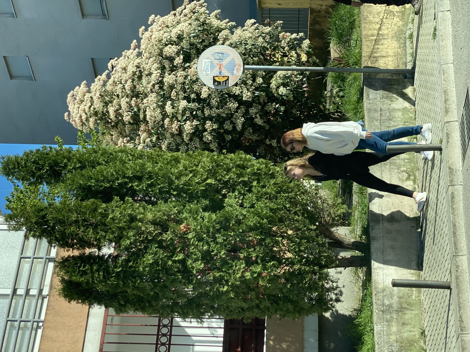 Two young women are posing by the side of a road. One wears a white hoodie and jeans, leaning on a metal railing. The other wears a black top and leggings, mirroring the first woman's pose. A large flowering bush and a tall green tree provide a backdrop. A circular sign is positioned amidst the flowering bush. The scene is on a street in what is likely Budva, Montenegro, given the architectural style of the buildings in the background.