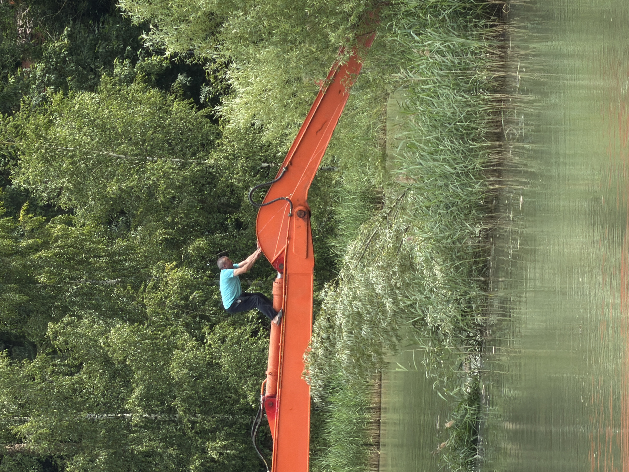 An individual in a blue t-shirt and black pants stands on the boom of an orange excavator, which is positioned over a body of water. The excavator is partially submerged in reeds and vegetation along the water's edge. The background is dominated by dense green trees. The scene is set in Bykovo, Russia, likely along the Bystritsa River, which runs through the town. The individual appears to be performing some sort of maintenance or operation on the excavator.