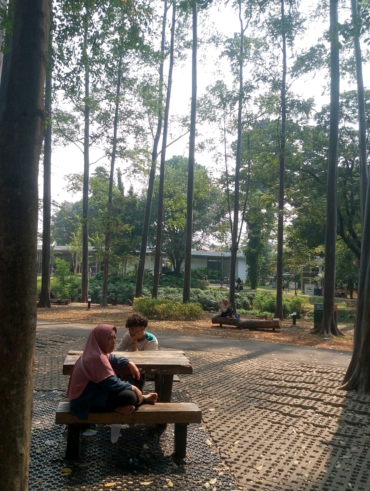 The image depicts a serene park scene likely situated in South Jakarta, Indonesia, characterized by a dense arrangement of tall, slender trees casting dappled shadows. In the foreground, a wooden picnic table with attached benches is set on a textured grey paving. On one bench, a woman wearing a pink hijab and dark clothing sits cross-legged, looking downwards, with her phone in her hands. Facing away from her, at the same table, a young person with curly hair, wearing a light-colored shirt with a green collar, rests their chin on their hand, appearing pensive. Further in the background, other individuals are visible, including a person sitting on a log bench and others walking or sitting near buildings that blend with the natural surroundings. The ground is covered with fallen leaves, enhancing the park's natural ambiance.