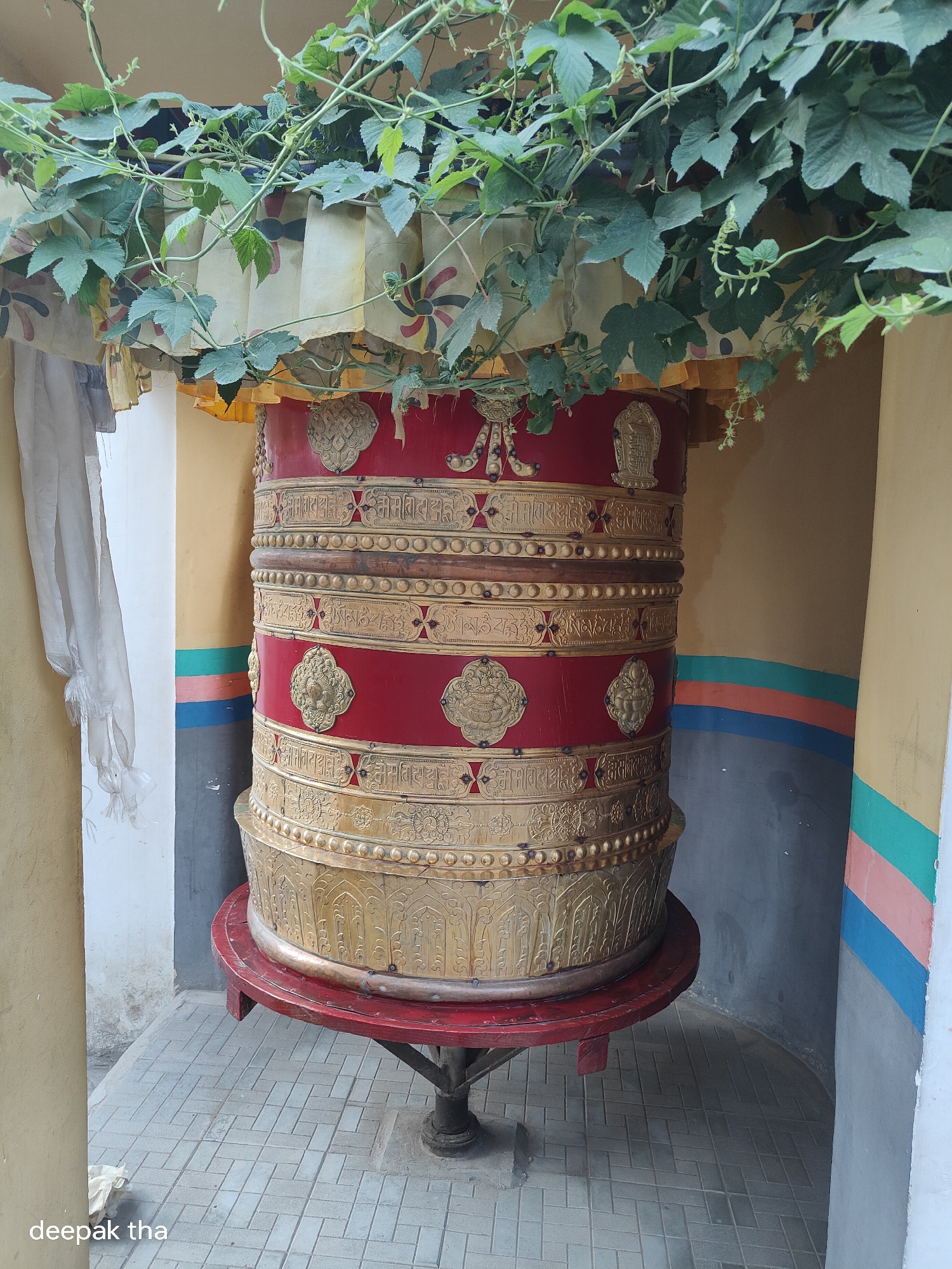 The image depicts a prayer wheel in Leh, India. The prayer wheel is a large, cylindrical object decorated with red and gold intricate patterns and Tibetan script. It is supported by a red wooden stand. Green vines with leaves hang from above, partially obscuring the top of the prayer wheel and a yellow fabric with floral patterns. To the left of the prayer wheel, a white cloth is draped, and a pillar painted yellow is visible. Behind the prayer wheel, a wall is painted with horizontal bands of yellow, green, pink, and blue. The ground is paved with square tiles. The overall scene suggests a peaceful, spiritual setting.