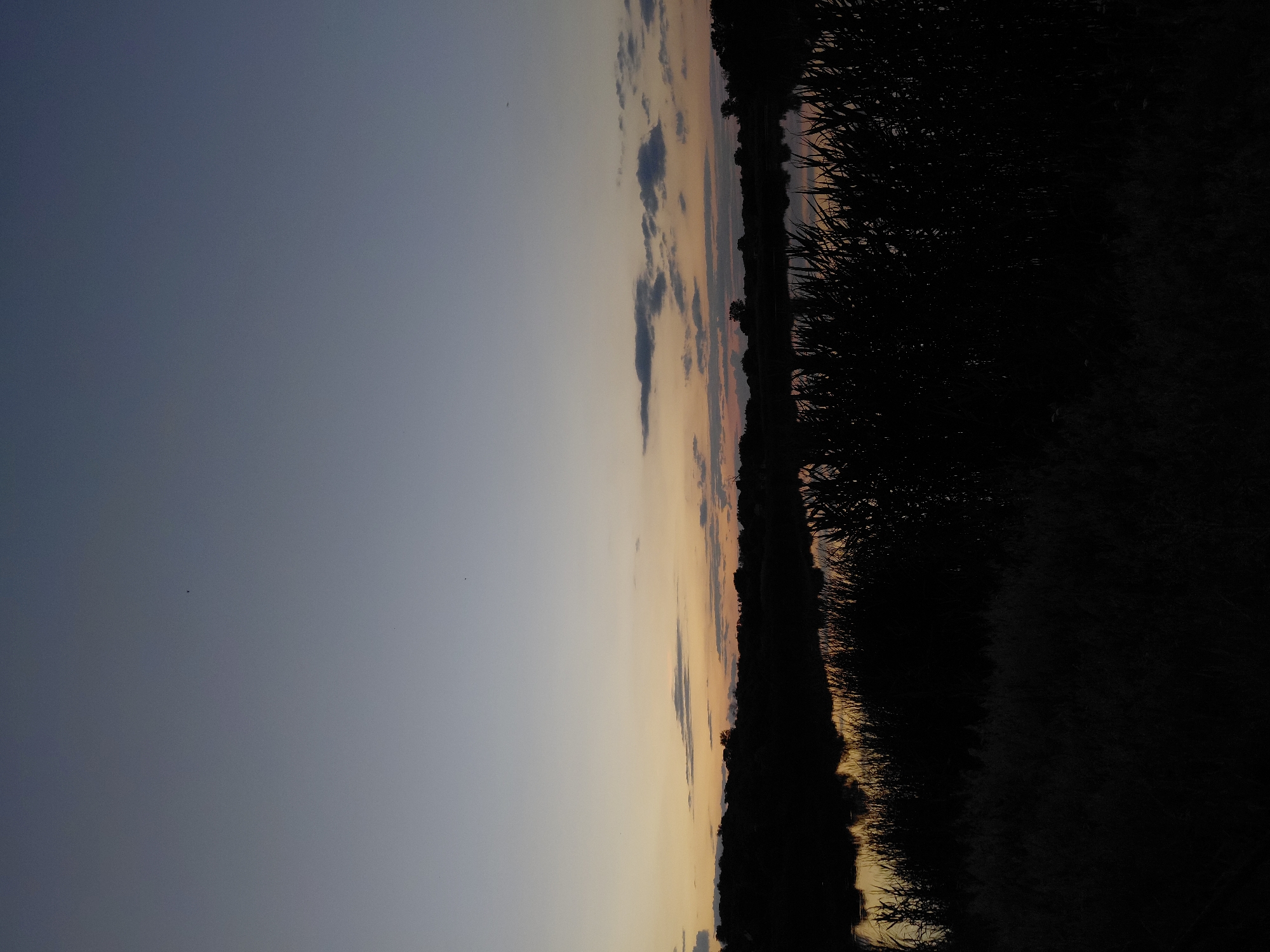 The image depicts a serene twilight scene at a body of water, likely a river or lake, in Ustyvytsia, Ukraine. The sky transitions from a deep blue at the top to a pale orange and yellow gradient near the horizon, suggesting the last moments of sunset. Wispy clouds are scattered across the sky, catching the fading light. In the foreground, dense, dark reeds or tall grass silhouette against the brighter sky and water. The water itself reflects the muted colors of the sky and the dark outline of the vegetation and distant treeline. The overall impression is one of quiet natural beauty at dusk.