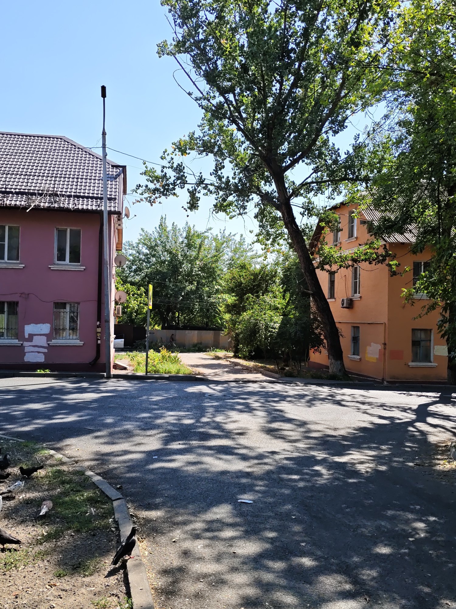 The image depicts an outdoor scene at a street intersection in Rostov-on-Don, Russia. On the left, a two-story pink building with a tiled roof and barred windows is visible. A lamp post stands in front of it, and satellite dishes are mounted on the side of the building. To the right, a two-story orange building with a similar tiled roof and visible windows is present. A large tree with dense green foliage leans over the intersection, casting shadows on the asphalt road. The road is bordered by a curb and a grassy area with several pigeons scattered on the ground. In the background, more trees and a fence can be seen, along with a yellow directional signpost. The sky is clear and blue, indicating a sunny day. The overall scene suggests a residential or mixed-use area within the city.