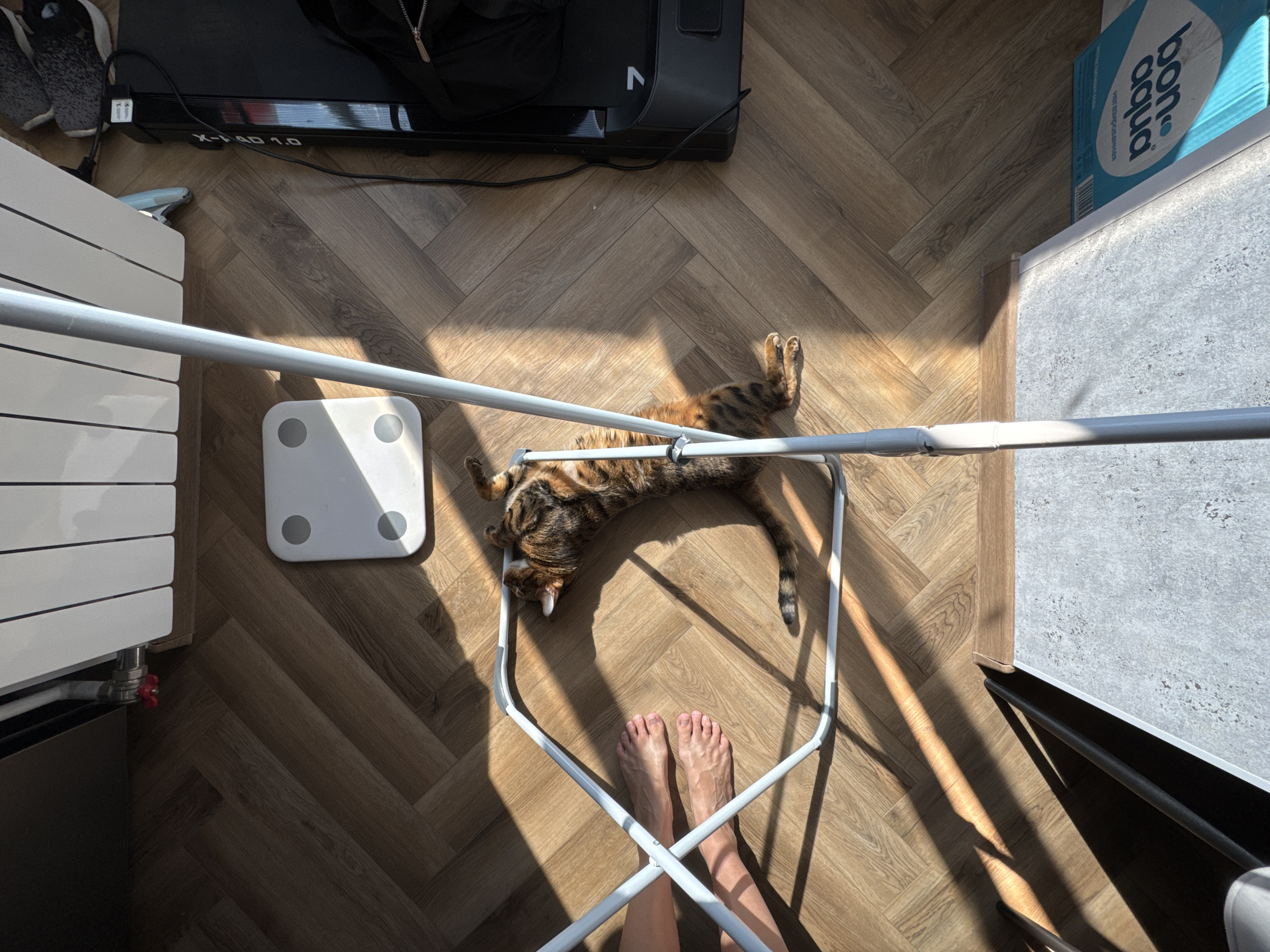 An overhead, top-down shot shows a brown and black striped cat stretched out on its back on a light brown wooden floor. The cat is positioned between the legs of a white metal folding chair. To the left of the cat are a pair of human feet wearing no shoes, with one foot resting on the floor and the other slightly elevated. A white electronic scale with two black circles is visible in the upper center of the frame. To the right of the scale, a black treadmill with "X-40 1.0" printed on its side is partially visible, with gray and black sneakers resting on top. In the background, a white radiator with vertical fins extends across the top of the frame. Sunlight streams in from the right, casting strong shadows across the floor, the cat, the chair, and the scale. In the bottom right corner, a portion of a blue and white cardboard box labeled "aqua" is visible. The scene appears to be indoors, likely a home environment.