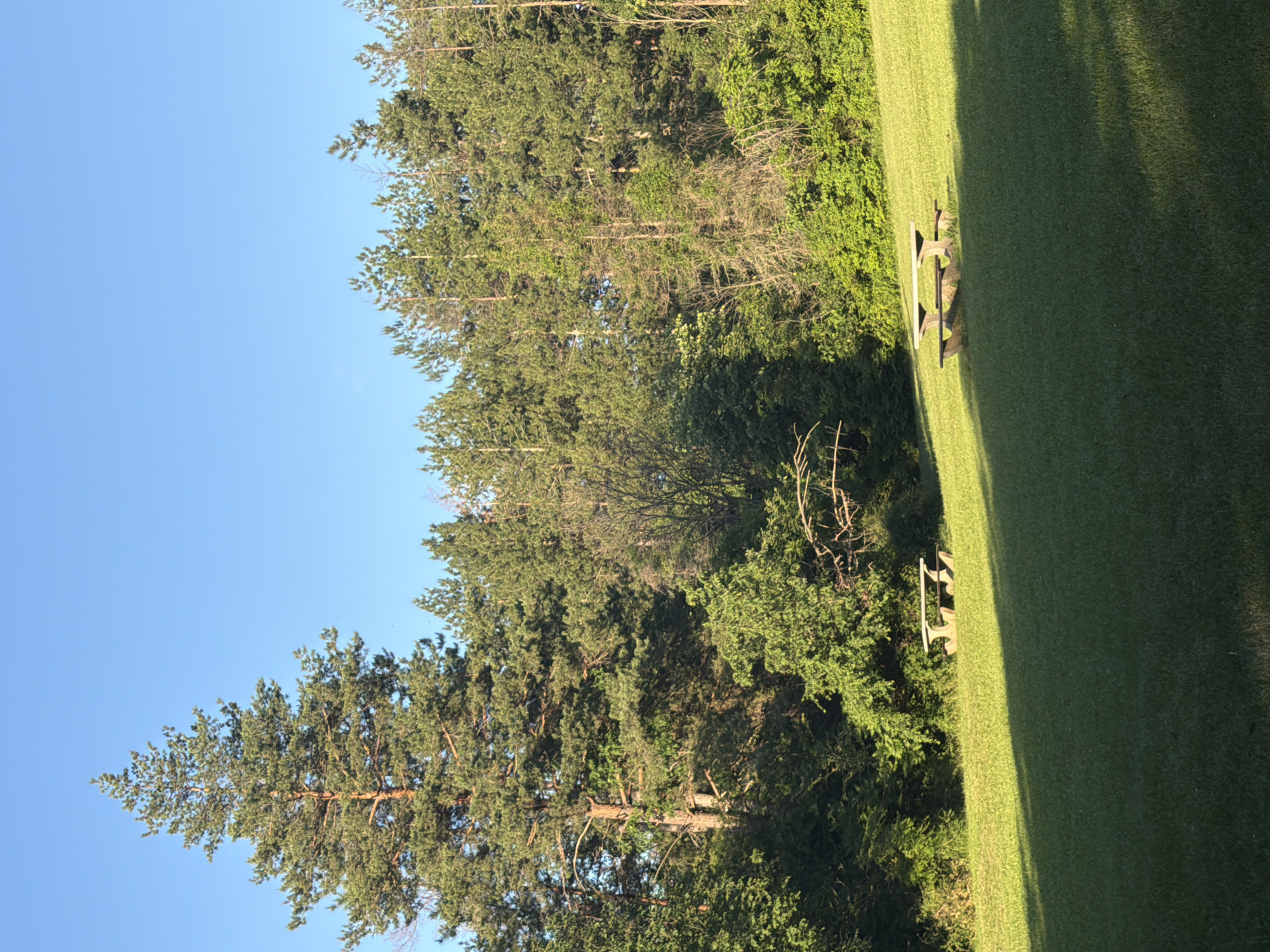 This image depicts a serene outdoor scene, likely a park or natural area in Lovech, Bulgaria, bathed in the soft, angled light of either early morning or late afternoon. The sky, a clear and vibrant blue, occupies the upper portion of the frame, free of any clouds.
A dense treeline forms the backdrop, spanning across the mid-ground and extending into the background. These appear to be a mix of tall coniferous trees, possibly pines, identifiable by their needle-like foliage and straight trunks, interspersed with some deciduous trees. The sunlight highlights the varying shades of green in the canopies, creating depth and texture in the forest.
In the foreground and mid-ground, a expansive, well-maintained grassy field or lawn stretches across the landscape. Positioned on this green expanse, relatively close to the treeline, is a simple wooden picnic table with attached benches, appearing weathered but sturdy. The table is unoccupied, adding to the tranquil atmosphere. A long, distinct shadow stretches diagonally across the grass, originating from the treeline or an unseen obstruction, a clear indicator of the low sun angle.
The scene conveys a sense of peaceful natural beauty. No people are visible, and there is no discernible text within the image.