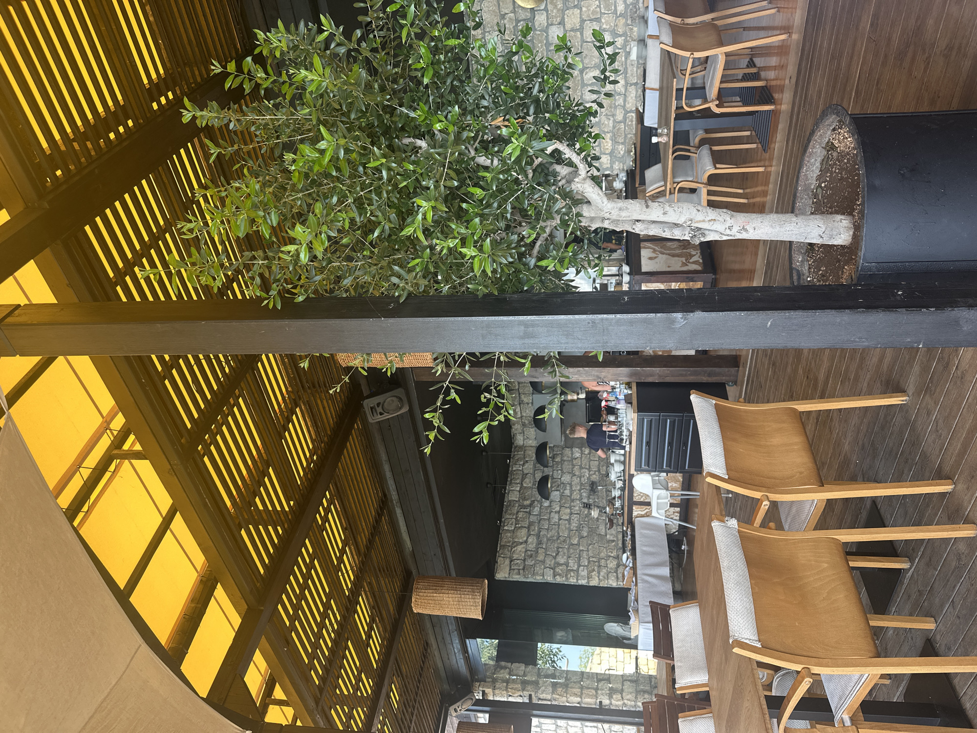 The image shows an outdoor restaurant seating area with a yellow canopy overhead. In the foreground, there is a large potted olive tree and wooden tables with chairs. In the background, there is a stone wall, a buffet area with food, and several people. The restaurant appears to be open for business.