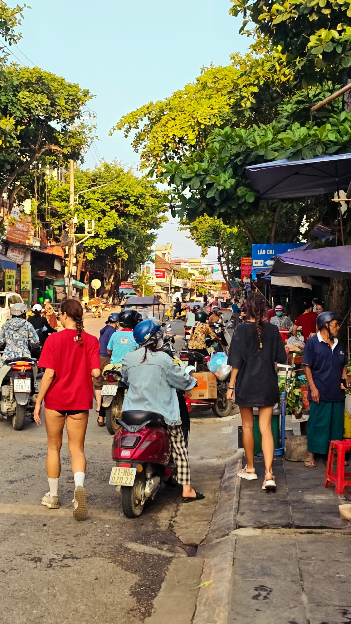 This image captures a lively street scene in Phố Ràng, Vietnam, during the late afternoon or early evening, indicated by the warm, golden light filtering through the trees and across the road. The sky is clear, suggesting fair weather.
The street is bustling with activity, featuring numerous people and motorbikes. In the foreground, a woman in a red t-shirt walks away from the viewer, moving towards the left side of the frame. Beside her, a person in a denim jacket and plaid pants is seated on a bright red scooter, also facing away. To the right, another woman in a black t-shirt walks past a vendor stall where a man in a blue polo shirt is attending to goods. Many other individuals, predominantly on motorbikes, fill the street, navigating the busy thoroughfare. Some riders are wearing helmets.
The street is flanked by buildings housing businesses, with signs like "HUNG MAI" and "SƠN NHA DO" visible. Lush green trees line both sides of the road, their leaves glowing in the warm light. Overhead power lines are noticeable against the sky. On the right, temporary market stalls with blue tarpaulin awnings provide shade. Various motorbikes are present, some carrying packages in cardboard boxes. Visible license plates include "24-AC 030.13", "24-T1 008.92", and "21-MD4 020.22". A blue street sign prominently displays "LÀO CAI" and "AH 14", indicating a direction or route to that location. The scene depicts typical daily life and commerce in a Vietnamese town.