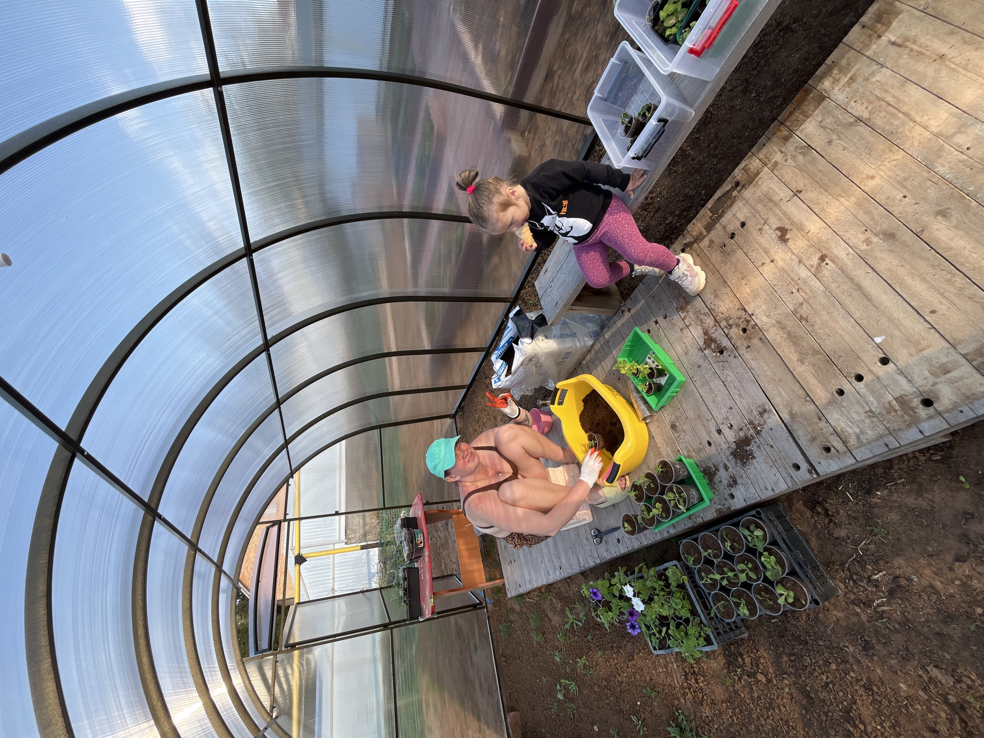 A woman and a child are inside a greenhouse in what is possibly Chaikovsky, Russia. The greenhouse has a curved, transparent roof with a dark metal frame. The floor of the greenhouse is a wooden platform on one side and bare earth on the other. The woman is seated on the wooden platform near a yellow tub of soil. She is wearing a bathing suit, a light green cap, and gardening gloves. She appears to be planting seedlings. Various trays and containers holding plants are scattered around her. The child, wearing a black long-sleeved shirt and patterned leggings, stands near the edge of the wooden platform, looking down at the woman. There are also containers with seedlings on the side of the platform. The inside of the greenhouse appears sunny and bright. A red chair is visible on the opposite side of the woman.