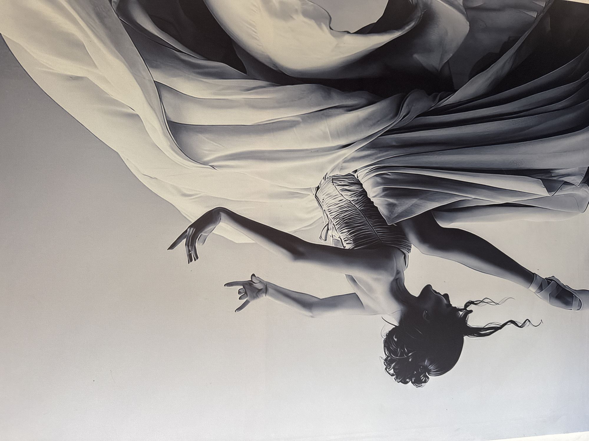 A black and white photograph depicts a ballet dancer in a dramatic pose, her body arched backward and draped in flowing fabric. Her arms are extended, with one hand making a "rock on" gesture. The dancer is wearing ballet slippers and a corseted garment. The background is a plain, light gray. This image does not depict any recognizable elements of Bac Nha Trang Ward, Vietnam.