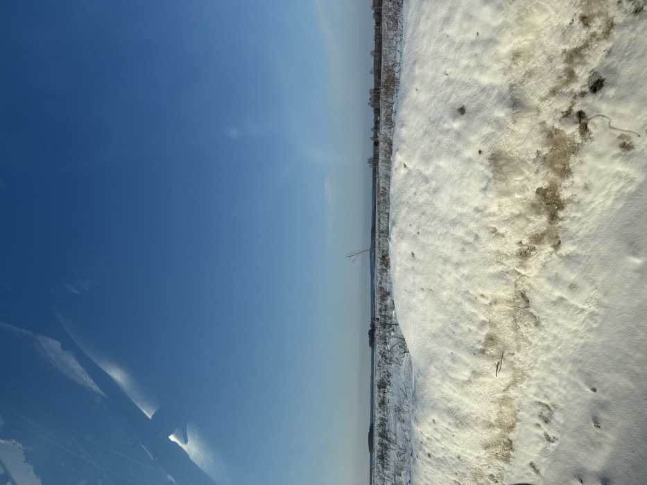 The image depicts a wide, snow-covered rural landscape under a clear blue sky, located in Dubrova, Russia. In the foreground, a large snowdrift occupies the lower half of the frame, composed of white snow with a distinct band of dirty, brownish-grey snow visible underneath. Sparse dark debris or depressions are present on the snow's surface. The midground consists of an expansive, flat field covered in snow, through which occasional dry, dormant vegetation protrudes. A single, thin, bare plant stalk stands upright in the midground, angled slightly right. A distant, dark line of trees or dense vegetation defines the flat horizon. The upper portion of the image shows a bright, cloudless blue sky, with a faint, vertical light streak visible in the upper right quadrant. Reflections, including a bright white glare, are present in the upper left, consistent with a photograph taken through a window or windshield. No individuals, animals, or explicit actions are observed.