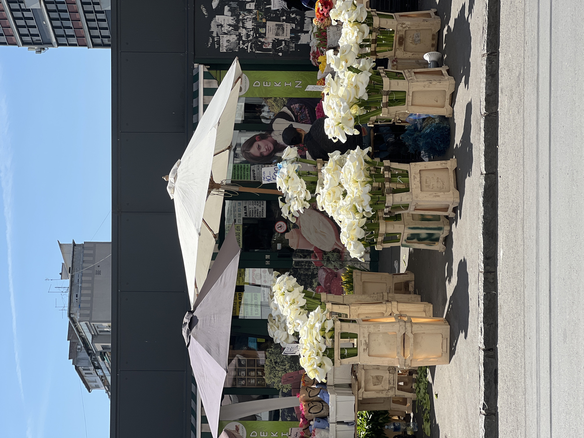 Here is a detailed description of the image:
**Location and Overview:**
The image shows a flower stand in the city of Belgrade, Serbia. It appears to be an outdoor market or vendor stall.
**Objects and Subjects:**
* **Flowers:** Large quantities of white calla lilies are prominently displayed in wooden crates along the sidewalk.
* **Crates:** The flowers are arranged in rows of off-white wooden crates, stacked on top of each other.
* **Umbrellas:** Two large umbrellas provide shade over the flower display. One is white and the other a grey/taupe color.
* **Building:** A building forms the backdrop for the scene. There is a large advertisement on the building behind the flowers and umbrellas.
* **Sidewalk:** The flowers are arranged on a grey concrete sidewalk.
* **Advertisement:** A poster on the storefront behind the flowers showcases a woman wearing traditional clothing, with the name "DEKIN" visible. Other poster material is also visible, some illegible.
**People:**
There are blurry figures near the flower stand, likely people browsing or working at the stall.
**Environment:**
* **Urban Setting:** The image has an urban feel with buildings visible in the background, including a blue sky above some buildings.
* **Daylight:** The scene is well-lit, indicating it is daytime.
* **Shadows:** Shadows are cast on the sidewalk near the flowers from the umbrellas and other objects.
**Inscriptions:**
The advertisement on the building says "IN DUĆAN". There are other words on the advertisements, mostly cut off by the flowers in the image. Some are legible, such as "NOVO", "JAJA", "DEKIN DUĆAN", and "PANSION ZA PSE".