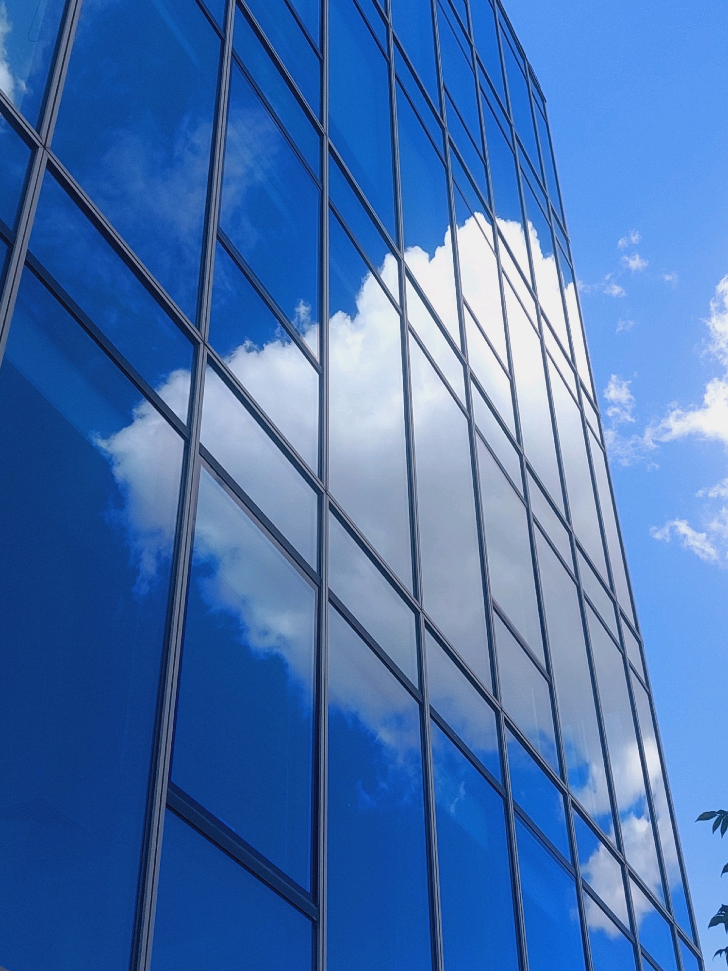 The image shows a glass-facade building against a bright blue sky with scattered white clouds. The glass reflects the sky and clouds, creating a mirrored effect. The building's facade is divided into a grid of rectangular panels by dark metal frames. The perspective is from below, looking up at the building, which is angled to the right. The scene appears to be an exterior shot of a modern office building. No people or specific landmarks are visible that would indicate the location in Sofia, Bulgaria.