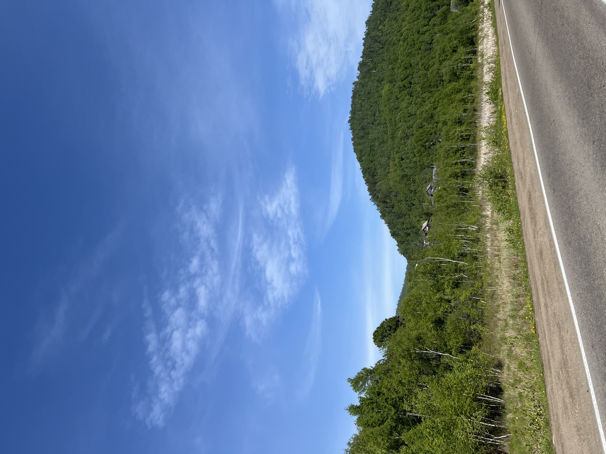 The image depicts a rural roadside scene in Nikola, Russia, under a bright blue sky with scattered wispy clouds. A paved road with a white line marking runs along the bottom right of the frame. To the left of the road, a grassy verge with sparse yellow flowers transitions into a densely forested hillside. The trees are a mix of deciduous and coniferous, with numerous slender white birch trees interspersed among the green foliage. In the middle ground, several wooden structures, likely houses or barns, are visible nestled amongst the trees on the lower slope of a large, verdant hill that dominates the right side of the image. The overall impression is of a peaceful, natural landscape.