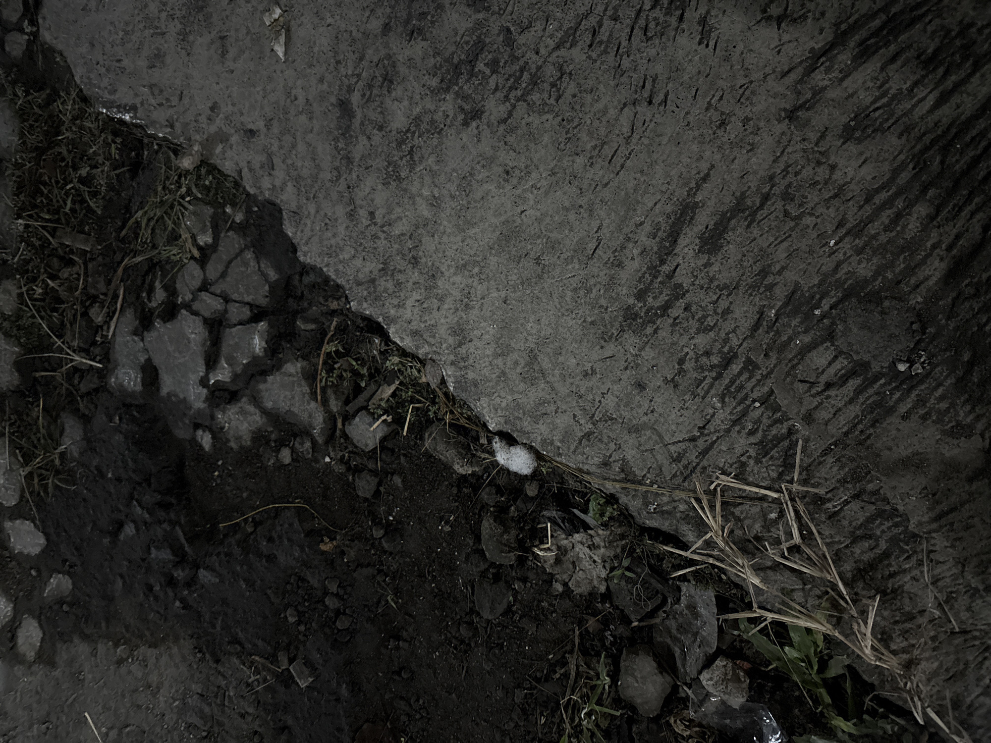 The image displays a close-up view of a textured concrete surface adjacent to a patch of dark, wet soil and debris. The concrete is rough and appears weathered, with visible cracks and streaks. The soil area is uneven and contains small stones, dry grass stalks, and some green vegetation. A small clump of white, fluffy material is visible on the edge of the concrete, near the soil. The lighting is dim, suggesting it might be nighttime or an overcast day. The scene is devoid of any human presence or discernible activity. The overall impression is of an outdoor, undeveloped area, potentially on the outskirts of a city or in a rural setting. The location is identified as Palimanan, Indonesia.