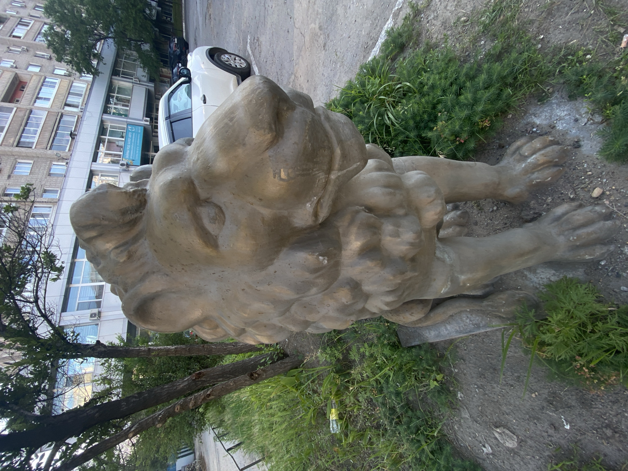 The image displays a stone sculpture of a lion lying on the ground, positioned in what appears to be an urban or suburban outdoor setting. The lion sculpture is a light gray color and has detailed features, including a mane, paws, and a head with an open mouth. It is lying on its side, facing towards the left of the frame.
In the background, a modern, multi-story building with many windows and balconies is visible. A white car is parked to the right of the building, partially obscured by the lion sculpture. Trees with green foliage are also present, some of them in the foreground and casting shadows. The ground is a mix of dirt, grass, and paved surfaces. There are patches of green grass and some smaller bushes around the sculpture.
A blue sign with white lettering is attached to the building, but the text is not entirely legible. It appears to be a business sign. A discarded clear glass bottle with a yellow label lies on the ground near the lion's hind legs, amidst the grass.
The lighting suggests it is daytime, possibly late afternoon or early morning given the shadows. The overall scene is static, with no people or apparent activity other than the presence of the static sculpture and the parked car. The environment appears to be a public space, possibly a courtyard or a side street near a residential or commercial building. The context provided indicates the location is Khabarovsk, Russia.