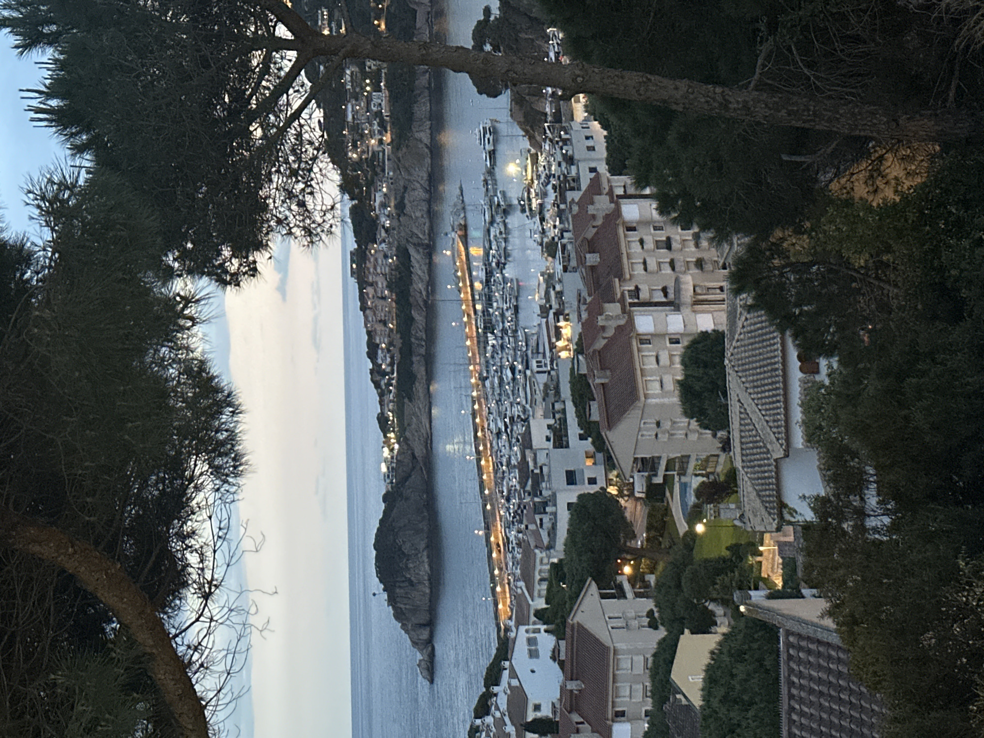 Captured from an elevated vantage point, the image showcases a coastal scene within the urban setting of Sant Feliu de Guíxols, Spain. The composition is framed by trees in the foreground, which partially obscure the view. In the midground, a marina is densely populated with numerous docked boats and yachts. The waterfront is lined with buildings, identifiable by their white facades and terracotta roofs, characteristic of the region's architecture. A breakwater extends into the sea, illuminated by lights. Beyond the marina, a rocky headland projects into the ocean. The sky is visible in the background, transitioning from the last light of day to dusk.