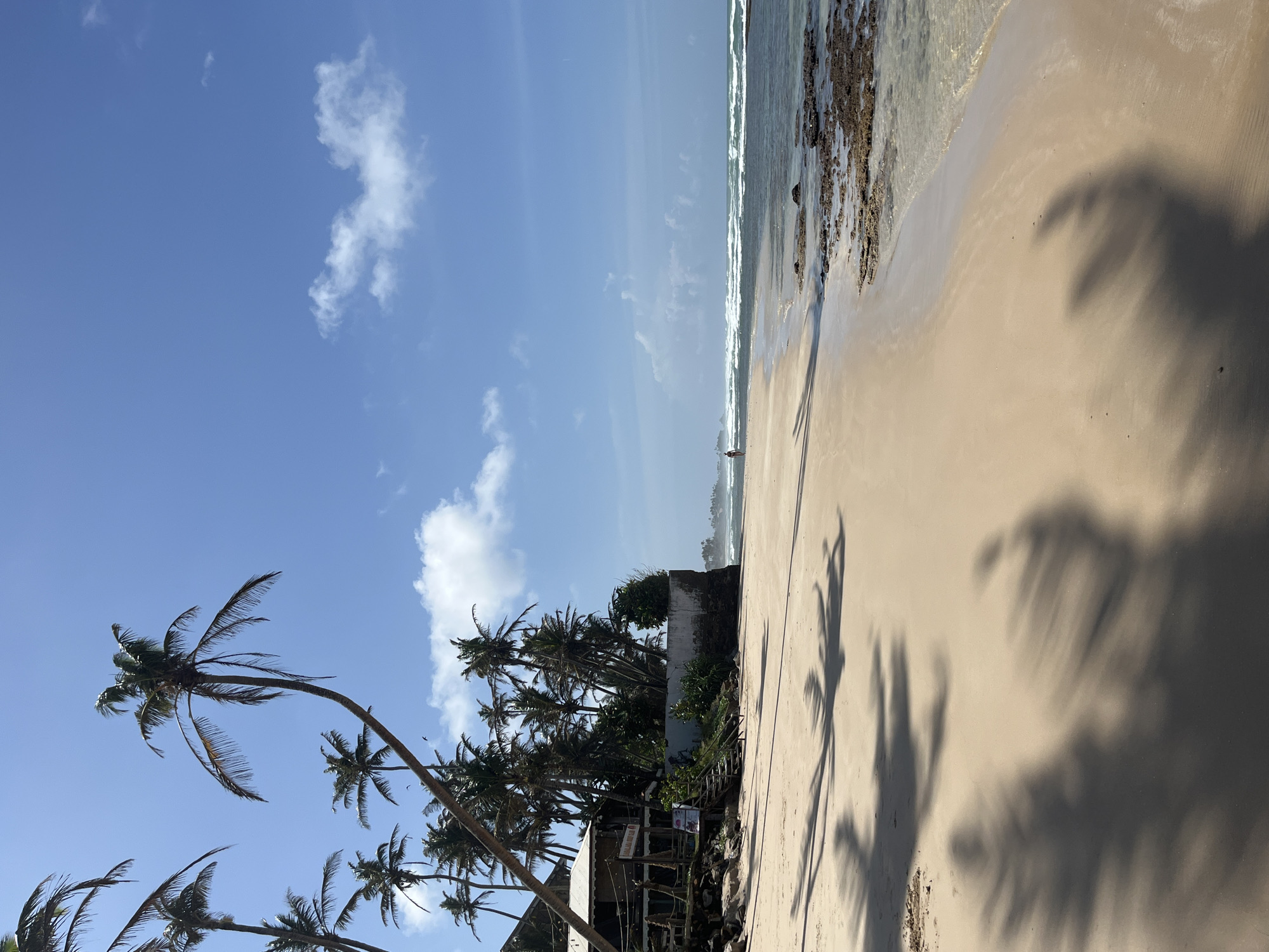A wide shot shows a sunny beach with light brown sand and palm trees casting shadows on the sand. The ocean is visible on the right, with waves breaking. The sky is blue with some white clouds. A small building with a thatched roof is partially visible on the left, with a sign that reads "NILAMALA SURF." A person is walking on the beach in the distance. The scene appears to be in Kathaluwa, Sri Lanka.