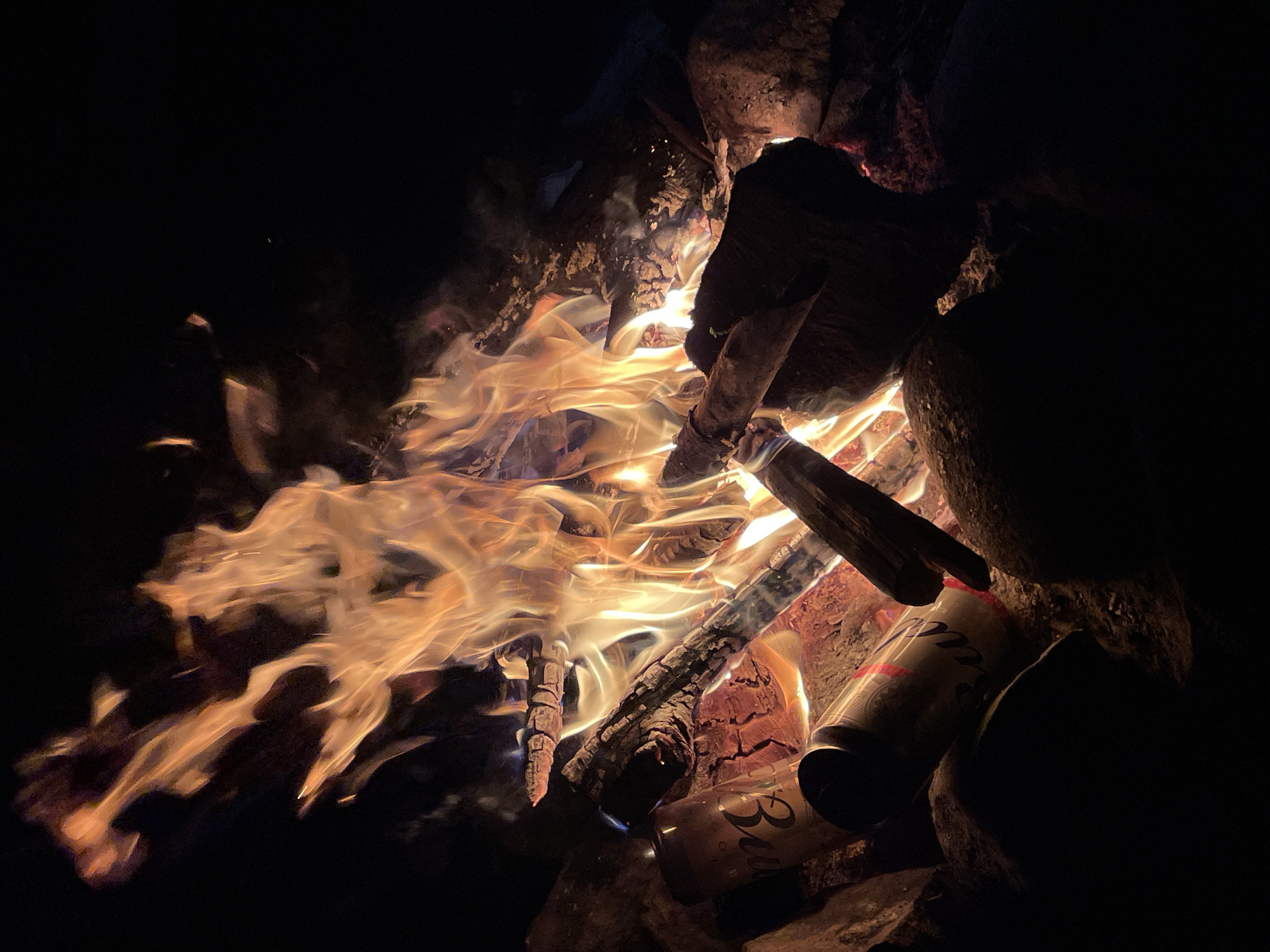 A campfire burns brightly at night, casting an orange glow on the surrounding logs and rocks. Two aluminum cans, one with a visible "Bud" logo, are placed near the fire. The scene is set in Berozovo, Russia, with no people or animals present. The environment is dark, emphasizing the flames and the objects in the foreground.