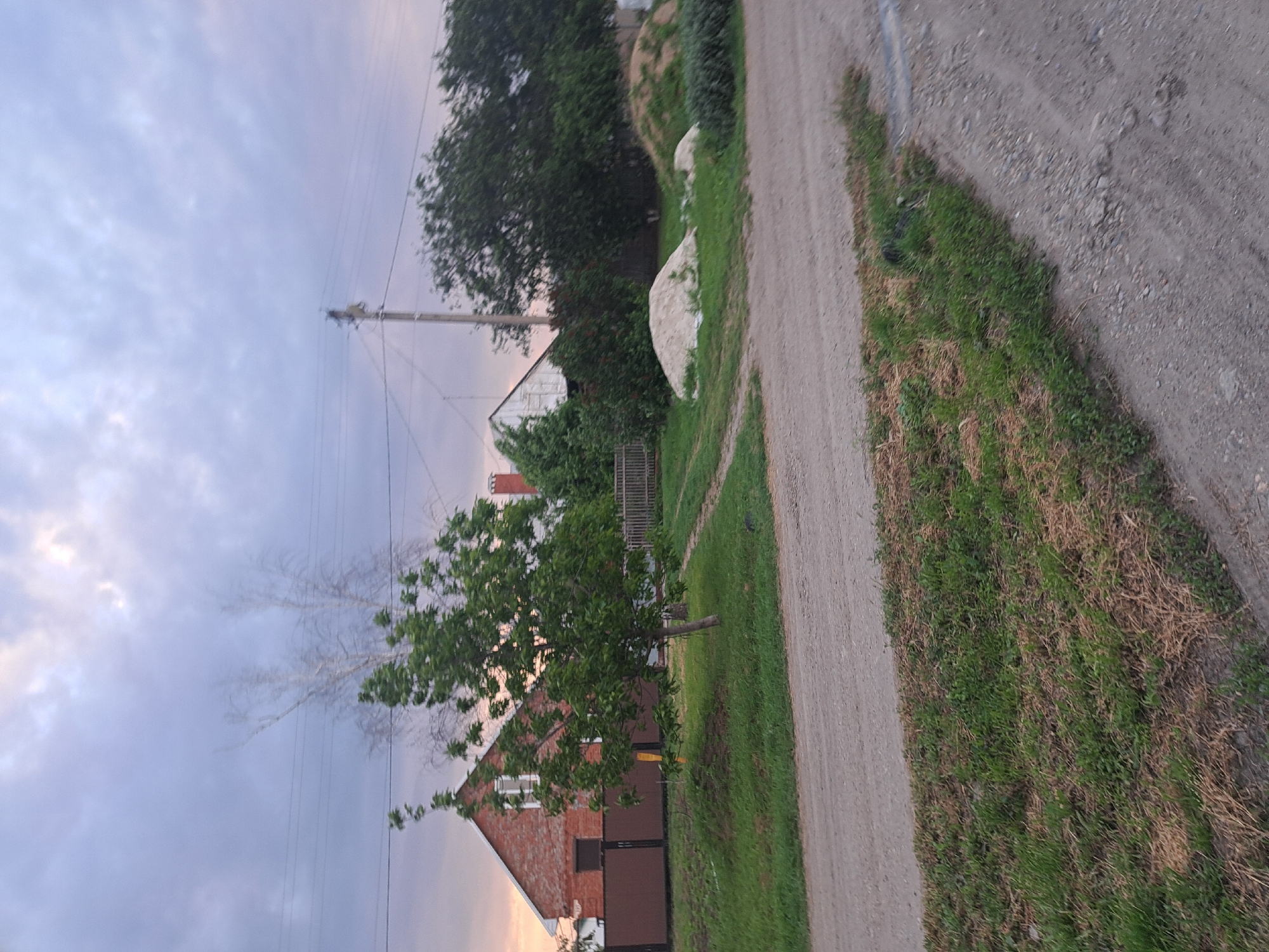 The image depicts a rural scene, likely in or near Leningradskaya, Russia. A dirt road runs along the right side of the frame. Adjacent to the road is a grassy verge. A brick house with a brown section visible is partially obscured by a tree with green leaves. A power line pole stands in the background. There are other buildings and trees further back in the scene. The sky is overcast with hues of purple and gray.