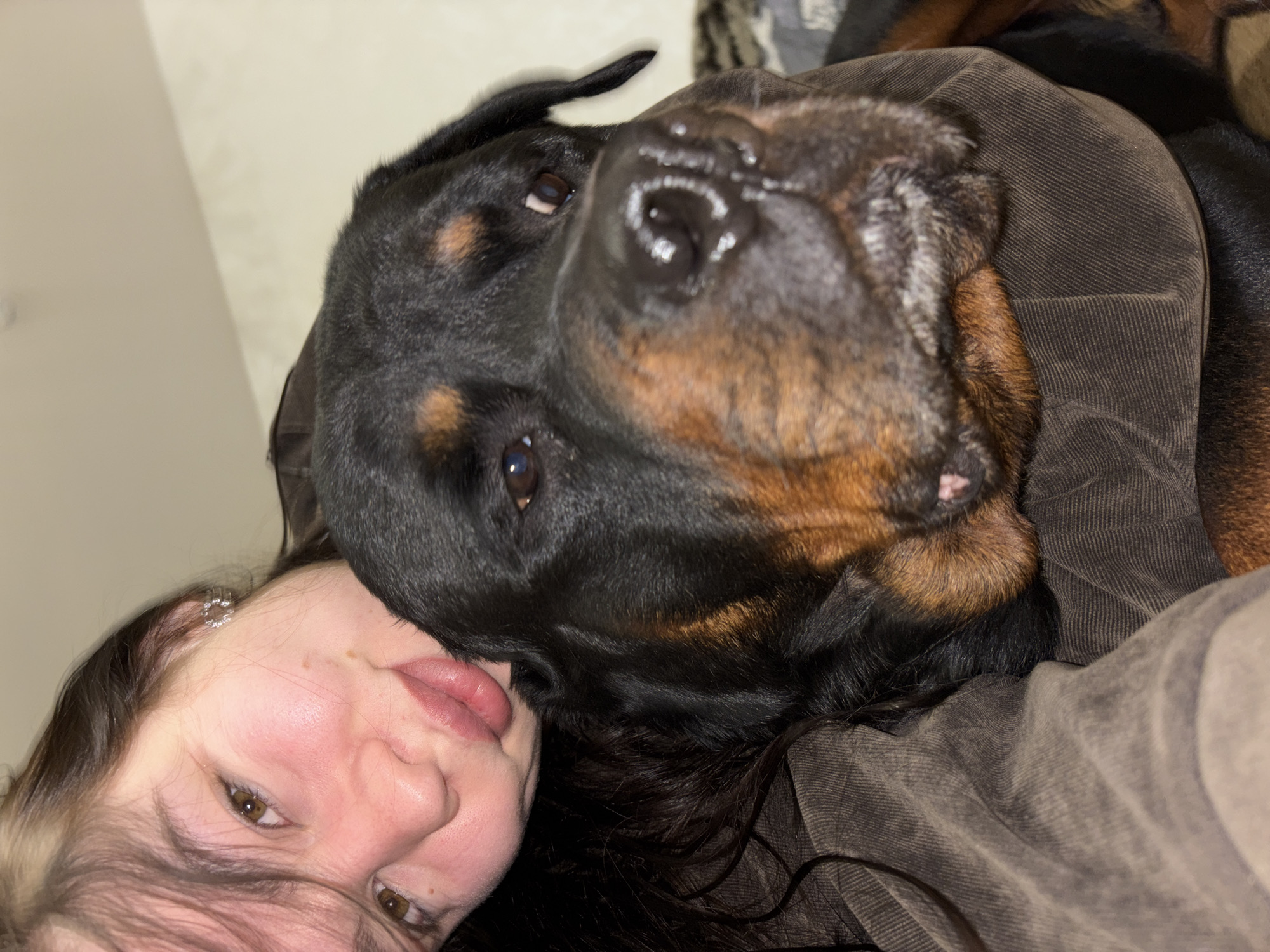 A close-up, tilted portrait captures a person and a large, black and tan dog, likely a Rottweiler, in an intimate indoor setting in Perm, Russia. The dog's head dominates the upper right portion of the frame, with its dark fur, tan markings, and moist black nose prominently visible. Its eyes are partially obscured but convey a gentle expression.
On the lower left, the face of a person, appearing to be a young female, is visible, positioned very close to the dog's head, suggesting a moment of shared affection or snuggling. She has dark hair, light skin with slightly rosy cheeks, and brown eyes that gaze towards the viewer. Her lips are slightly parted, and a small, circular, silver-colored earring with clear stones adorns her ear.
Both the dog and the person are nestled against a dark brown, ribbed fabric, possibly corduroy, which adds a tactile warmth to the scene. A light-colored wall is visible in the background on the upper left, while a patterned fabric can be glimpsed in the upper right. The overall impression is one of deep connection and comfort between the companion animal and the human, depicting a quiet, affectionate moment indoors. There is no visible text in the image.