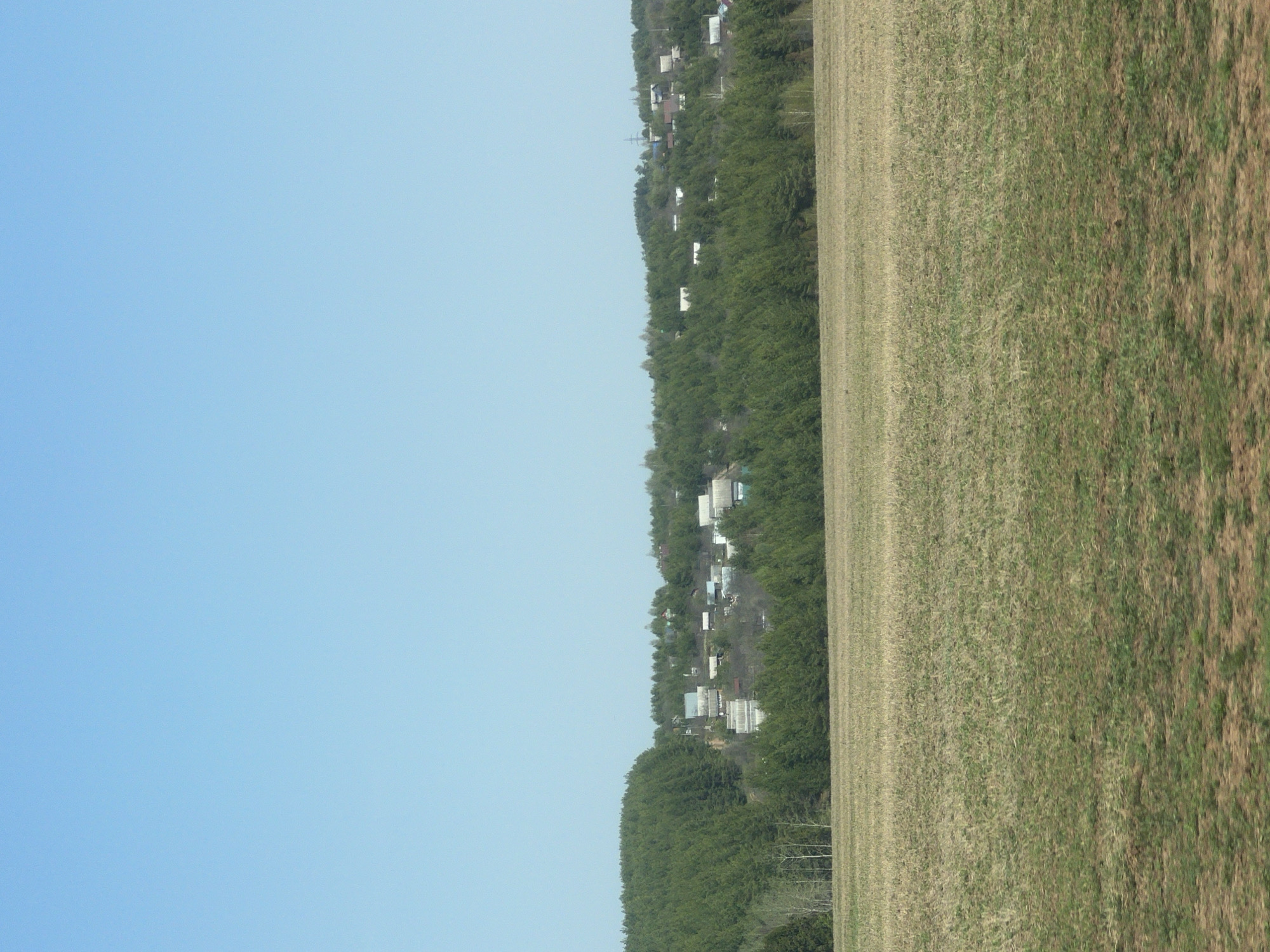The image depicts a rural landscape in Oreshniki, Russia. The scene is divided into three main sections: a clear, blue sky covering the left side of the frame, a dense line of trees and sparse dwellings running vertically in the middle, and a field transitioning from green to brown dominating the right side. The dwellings scattered amongst the trees suggest a sparsely populated residential area along the edge of the field. The field itself appears unkempt, showing signs of either disuse or naturally occurring vegetation. There are no people, animals, or vehicles visibly present in the scene.