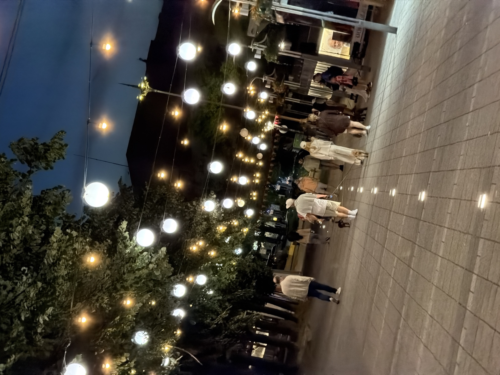 The image captures a nighttime scene on a paved pedestrian walkway in Burgas, Bulgaria, likely near the Sea Garden. A string of festive lights, comprising both white spherical lanterns and smaller yellow bulbs, illuminates the area, creating a warm and inviting ambiance. Several people are seen strolling along the walkway, some accompanied by dogs on leashes. The architecture visible in the background suggests a modern urban setting. The overall impression is one of a lively evening promenade.