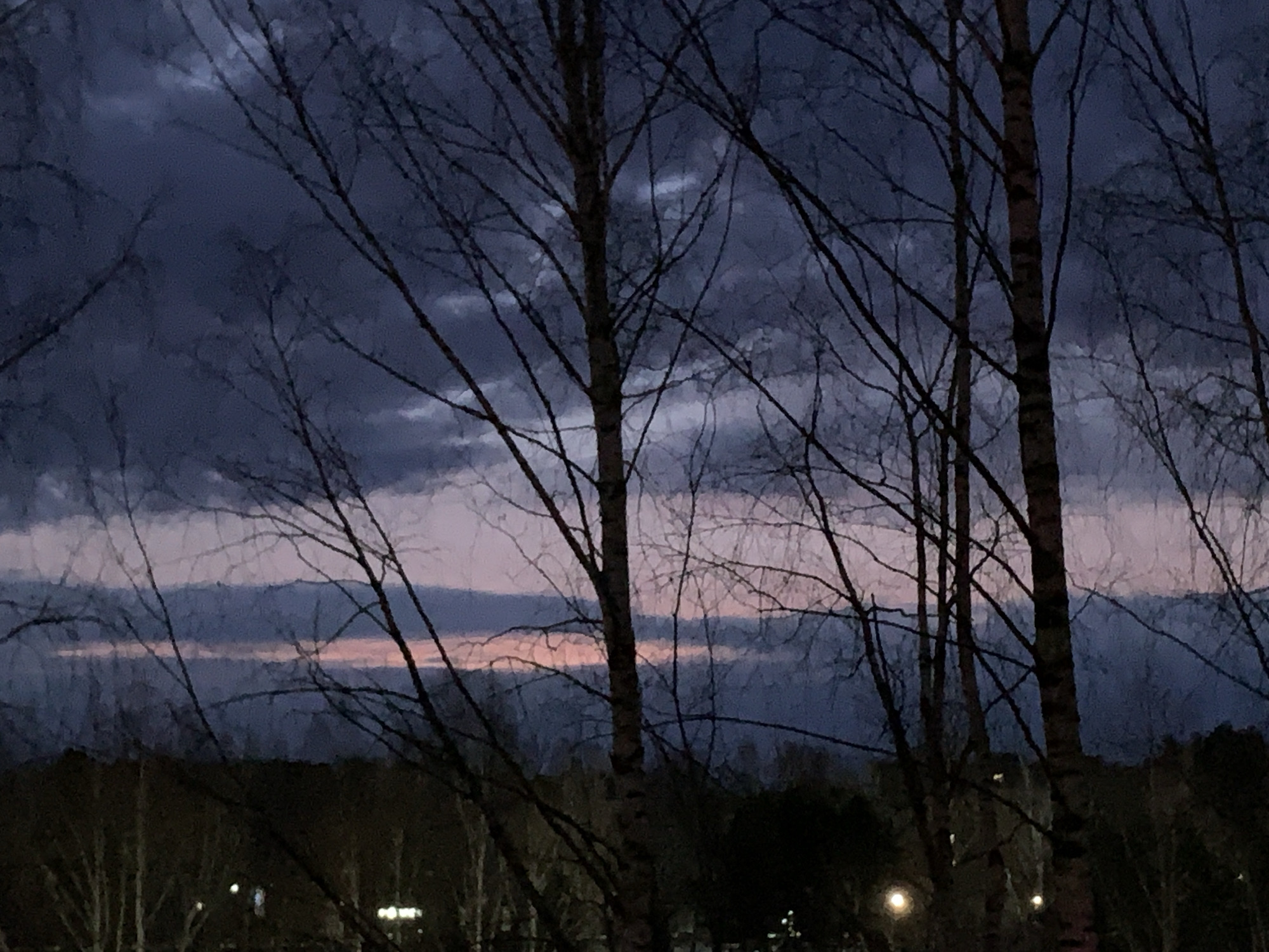 The image shows a night sky over Chaikovsky, Russia, with the silhouettes of bare birch trees in the foreground. The sky is a mix of dark blues and purples, with a thin band of pink and orange light along the horizon. Below the horizon, a dark area suggests a forest or treeline, punctuated by a few lights, possibly from buildings. The scene is quiet and still, suggesting a peaceful evening.