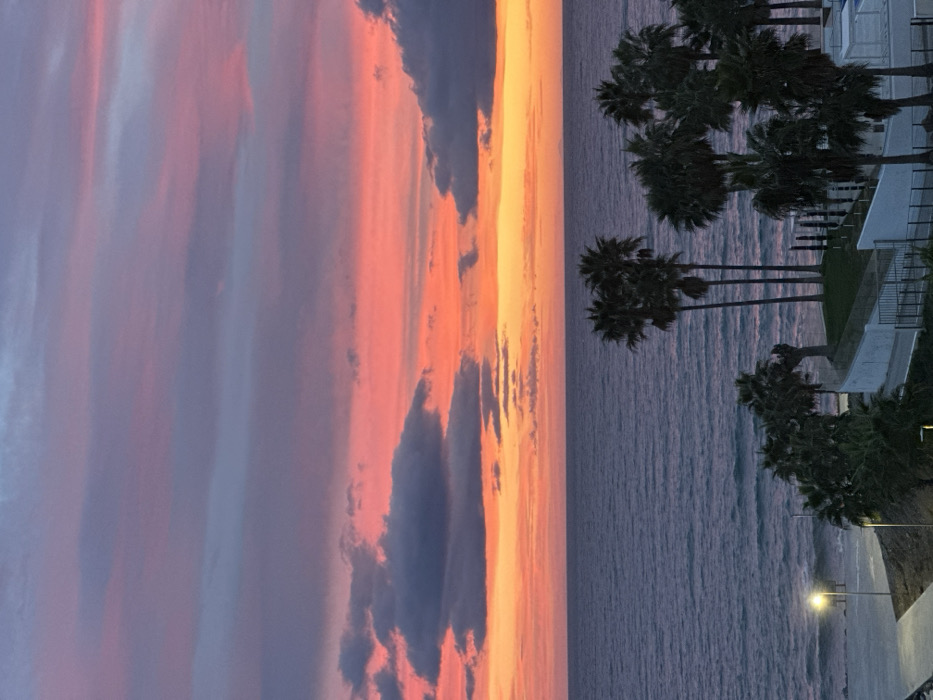 A sunset over the ocean is captured in a landscape photo. The sky displays vibrant colors of pink, orange, and yellow, with dark clouds scattered throughout. The ocean reflects the sky's hues. Palm trees line the right side of the image, along with glimpses of white buildings. A lamp post shines at the bottom right corner. The image is slightly tilted, with the sky on the left and the ocean on the right.