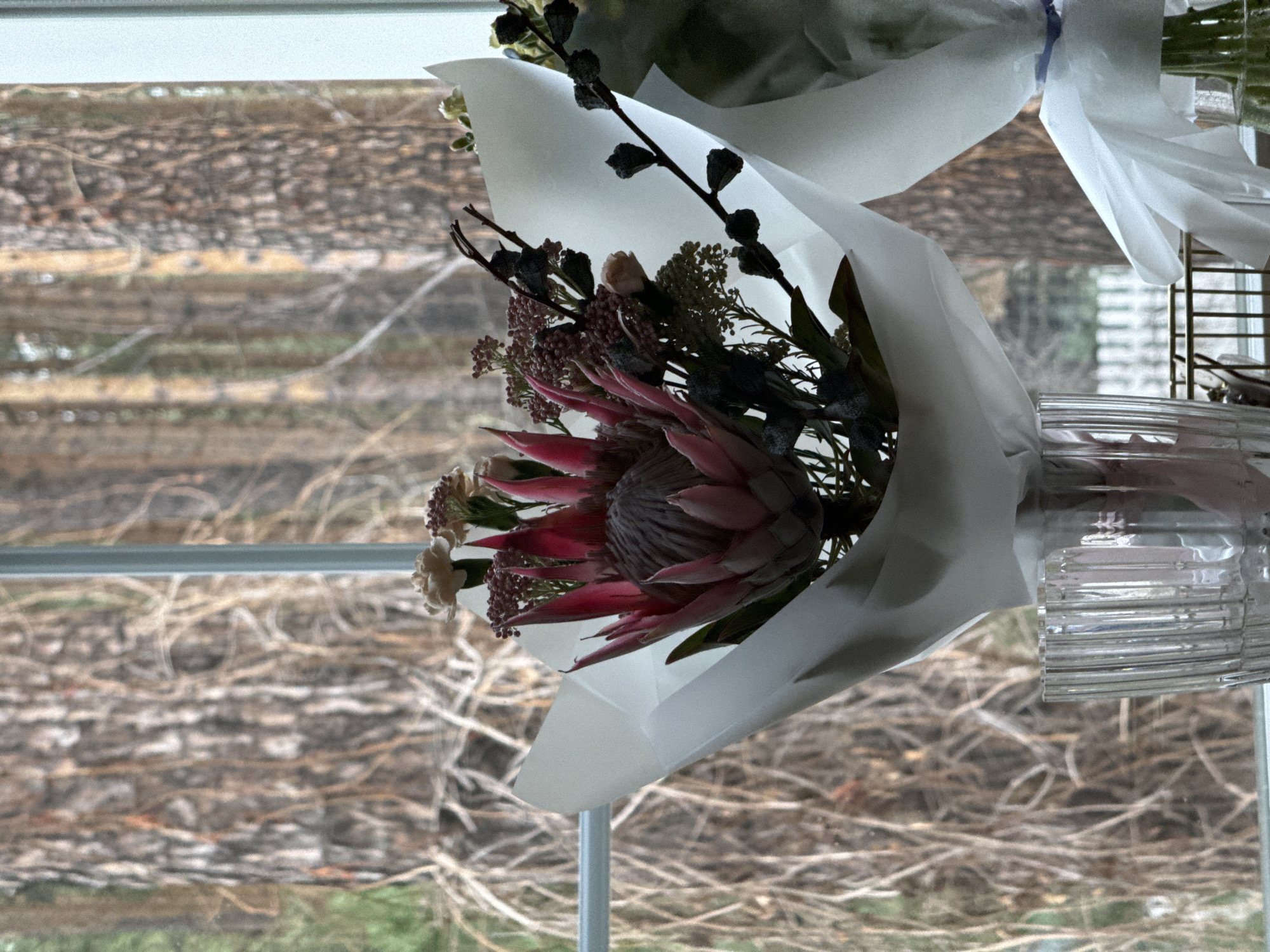 A still-life photograph depicts a bouquet of flowers, featuring a pink protea and other assorted foliage, wrapped in white paper and displayed in a clear, textured glass jar or vase. The flowers are positioned in front of a window, the lower third of which is visible. The background outside the window presents a blurry view of what appears to be outdoor vegetation, possibly branches or a dense garden. The photograph is taken indoors, with the window frame and sill subtly visible. The photograph’s orientation is tilted slightly to the right.