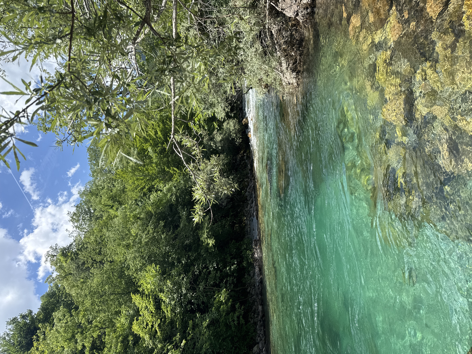 A medium shot depicts a clear turquoise river flowing along a rocky bank, bordered by dense green trees. The angle of the shot is canted, as if taken from the side of the water. The riverbed is visible through the transparent water, with rocks and pebbles adding texture. The far bank is overgrown with a lush forest, partially obstructing a blue sky with light clouds. Branches of a tree hang over the river, casting some shadows on the water's surface. The location is identified as Međuriječje, Montenegro. No people or animals are visible in the image.