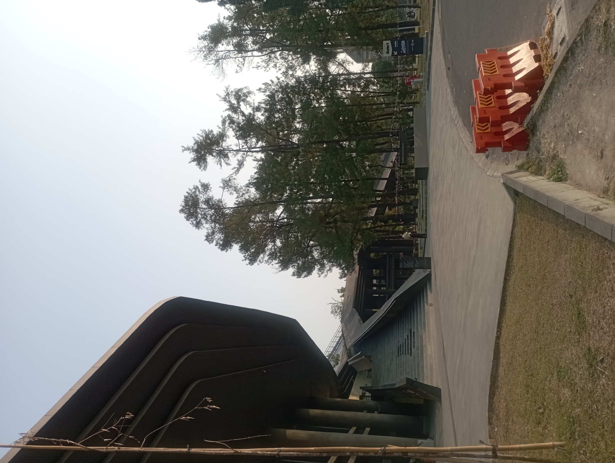 The image shows the exterior of a modern building in Depok, Indonesia, possibly an exhibition hall or cultural center, with a wide paved area leading up to a grand staircase. The building features a curved, dark-colored facade with visible support columns. Pine trees are visible in the background, surrounding the structure and extending into the distance. In the foreground, several bright orange plastic barriers are lined up along the side of a road. A narrow strip of dry grass borders the paved area on the left side of the image, with a thin bamboo stalk standing vertically. A single individual is visible walking on the paved area near the staircase. A sign with the text "Gate 1" and arrows indicating directions is present near the trees. The sky is clear and pale, suggesting daylight, possibly late afternoon due to the soft lighting.