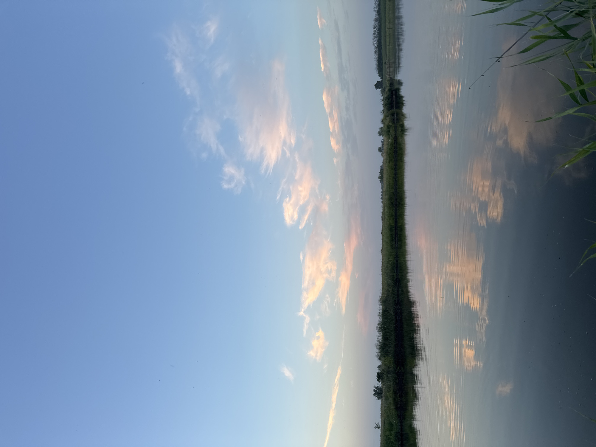 A wide-angle, vertical photograph captures a tranquil twilight scene over a body of water in Tarasivka, Ukraine. The sky, a gradient of pale blue transitioning to a soft, hazy pastel near the horizon, is adorned with wispy, elongated clouds tinged with pink and orange hues, reflecting their colors onto the water's surface. The water itself is calm, with subtle ripples disturbing the otherwise mirror-like reflection of the sky and the land. Along the far bank, a dense line of green reeds and grass forms a natural embankment, punctuated by a few scattered trees. The reflection of this vegetated shoreline is clearly visible in the water. In the foreground, the edge of the water is framed by blades of green grass and a thin fishing rod, with its tip angling slightly upwards, suggesting a moment of quiet repose. The overall atmosphere is peaceful and serene, characteristic of the late evening in a rural or semi-rural setting.