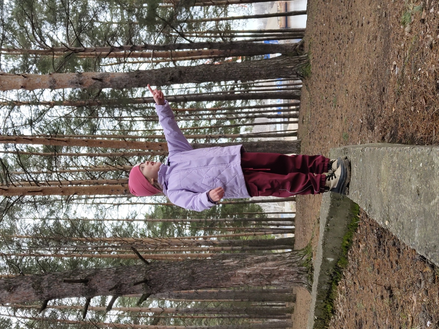 A young child stands on a weathered concrete block in a wooded area of Chaikovsky, Russia. The child is dressed in a light purple quilted jacket, dark red pants, a pink knit hat, and cream-colored boots. They are looking upwards with their head tilted back, their right arm extended towards the sky, and their index finger pointing, suggesting curiosity or wonder.
The immediate environment includes the rough, grey concrete block, which shows some moss growth. The ground surrounding the block and extending into the background is thickly covered with dry pine needles and fallen leaves. The dominant feature of the background is a dense collection of tall, slender pine trees, their trunks and branches visible against a bright, overcast sky. Through the trees in the distance, faint outlines of what appear to be buildings or structures can be discerned. The lack of strong shadows and the bare appearance of some branches, along with the ground cover, suggest a cool day, possibly late autumn, winter, or early spring. There is no visible text in the image.