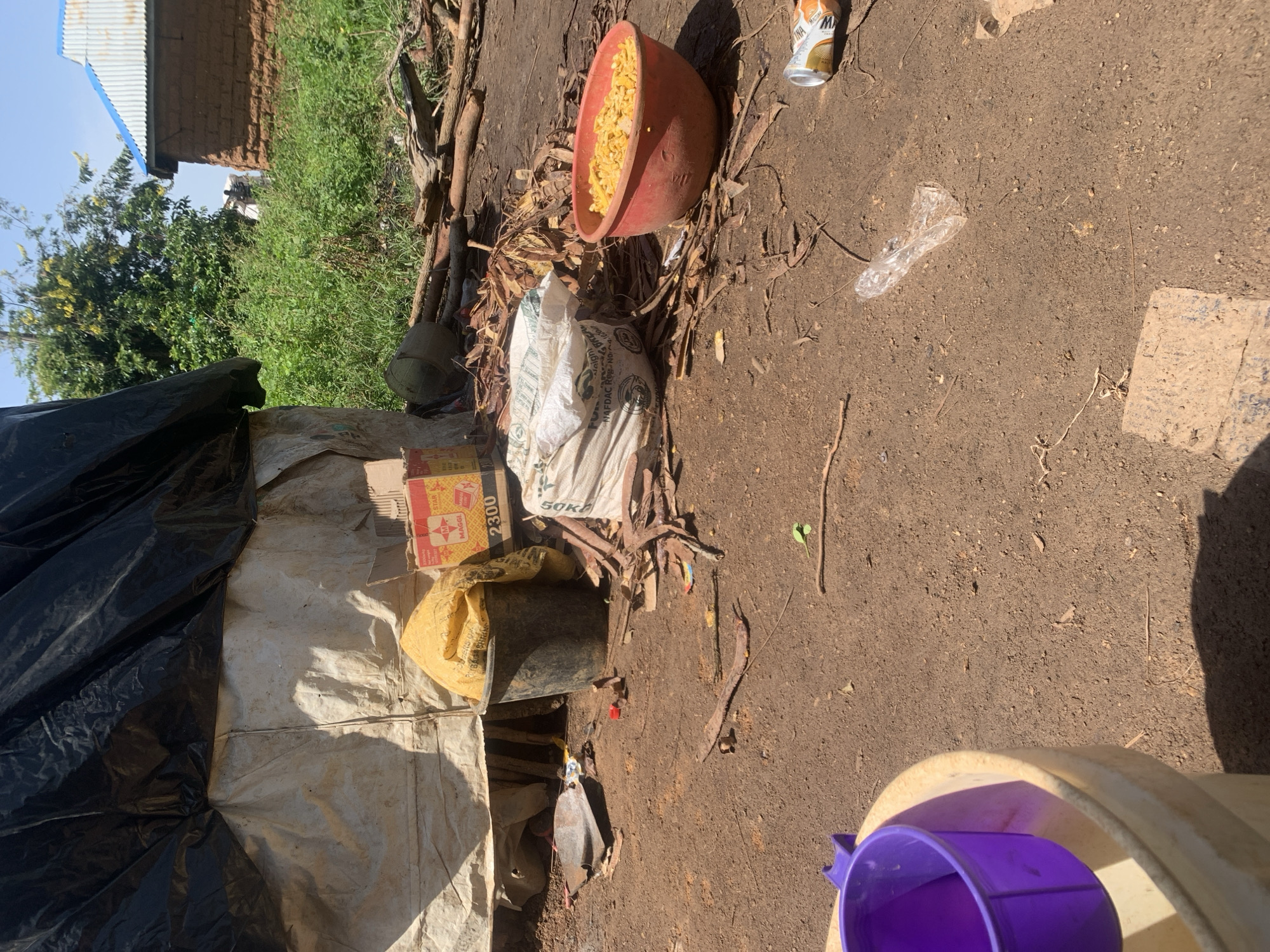 The image shows an outdoor scene, likely in Buga da Gindi, Nigeria, characterized by a dusty, dirt ground littered with debris. In the foreground, a large, light-colored bucket contains a purple scoop. To the right of this bucket, a red bowl is filled with yellow kernels, possibly corn. Further to the right and slightly behind, a discarded aluminum can lies on the ground.
Behind these foreground objects, a temporary structure is visible. It appears to be made of a large black tarp covering a lighter-colored material. To the left of this structure, a dark bucket holds a yellow bag. Near the base of the structure, a shovel and scattered pieces of wood and leaves are present. In the background, a building with a blue corrugated metal roof and mud-brick walls stands amidst lush green vegetation. The sky is visible and appears clear. There are no people clearly depicted in the scene.