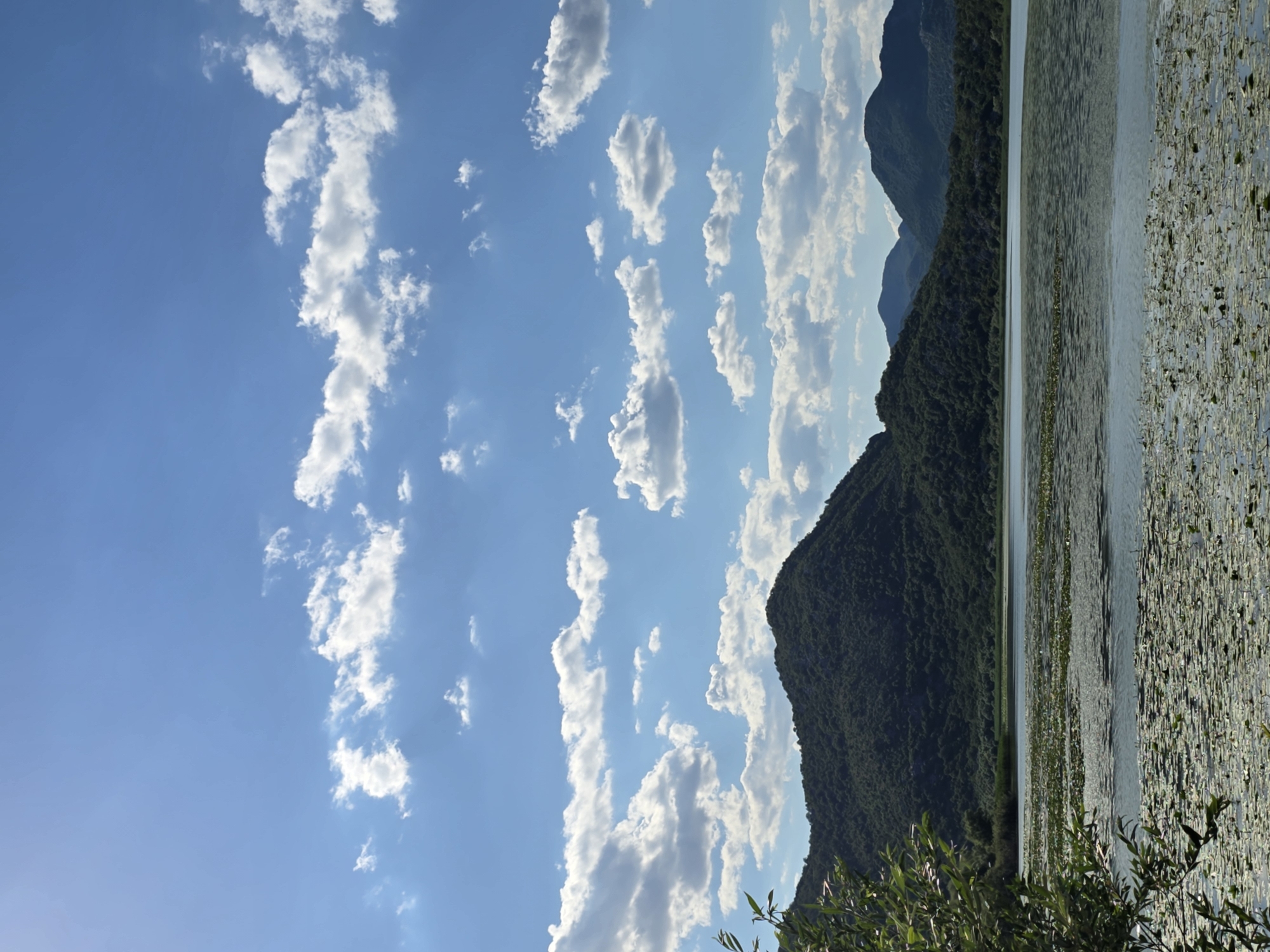 A serene, wide-angle landscape captures a tranquil lake scene with lush green hills and a vibrant blue sky dotted with fluffy white clouds. The foreground is dominated by the calm surface of the lake, partially covered with water lilies, reflecting the bright sunlight. To the left, the branches of a leafy green tree extend into the frame, adding a touch of natural framing. In the mid-ground, the lake stretches towards a line of dense, verdant hills that rise majestically, their slopes covered in trees. The background features a series of softer, more distant mountains under a expansive sky, with scattered cumulus clouds adding texture and depth to the scene. The overall impression is one of natural beauty and peacefulness, characteristic of a rural or wilderness setting. The location is identified as Seoca, Montenegro.